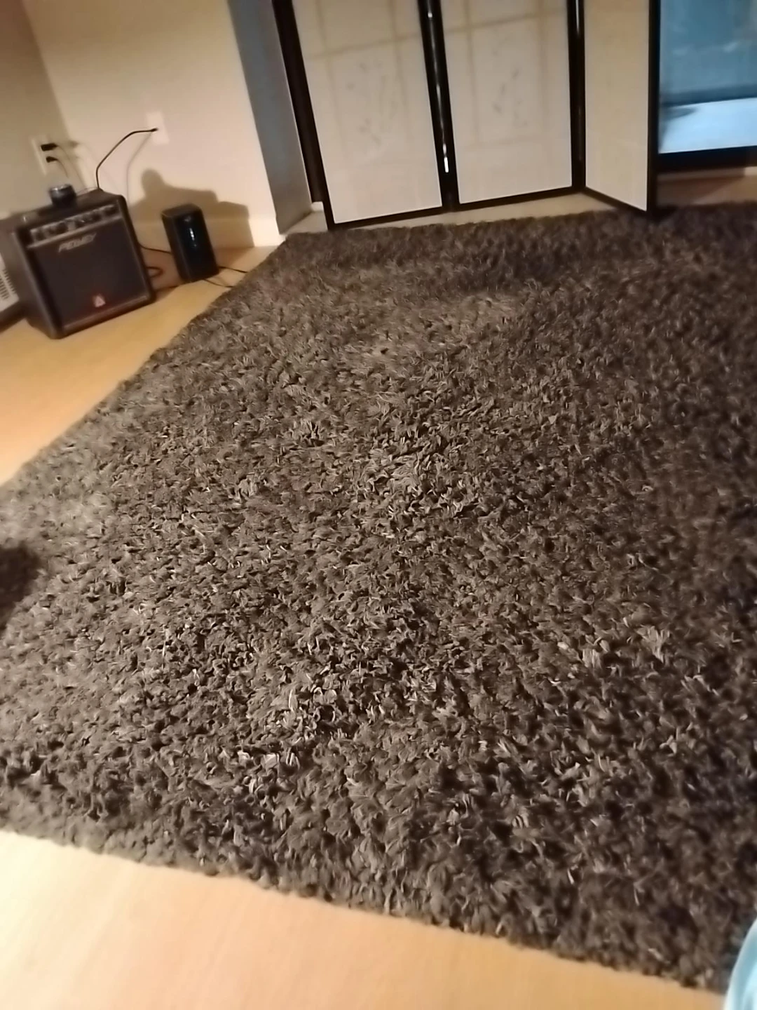 Shaggy Area Rug