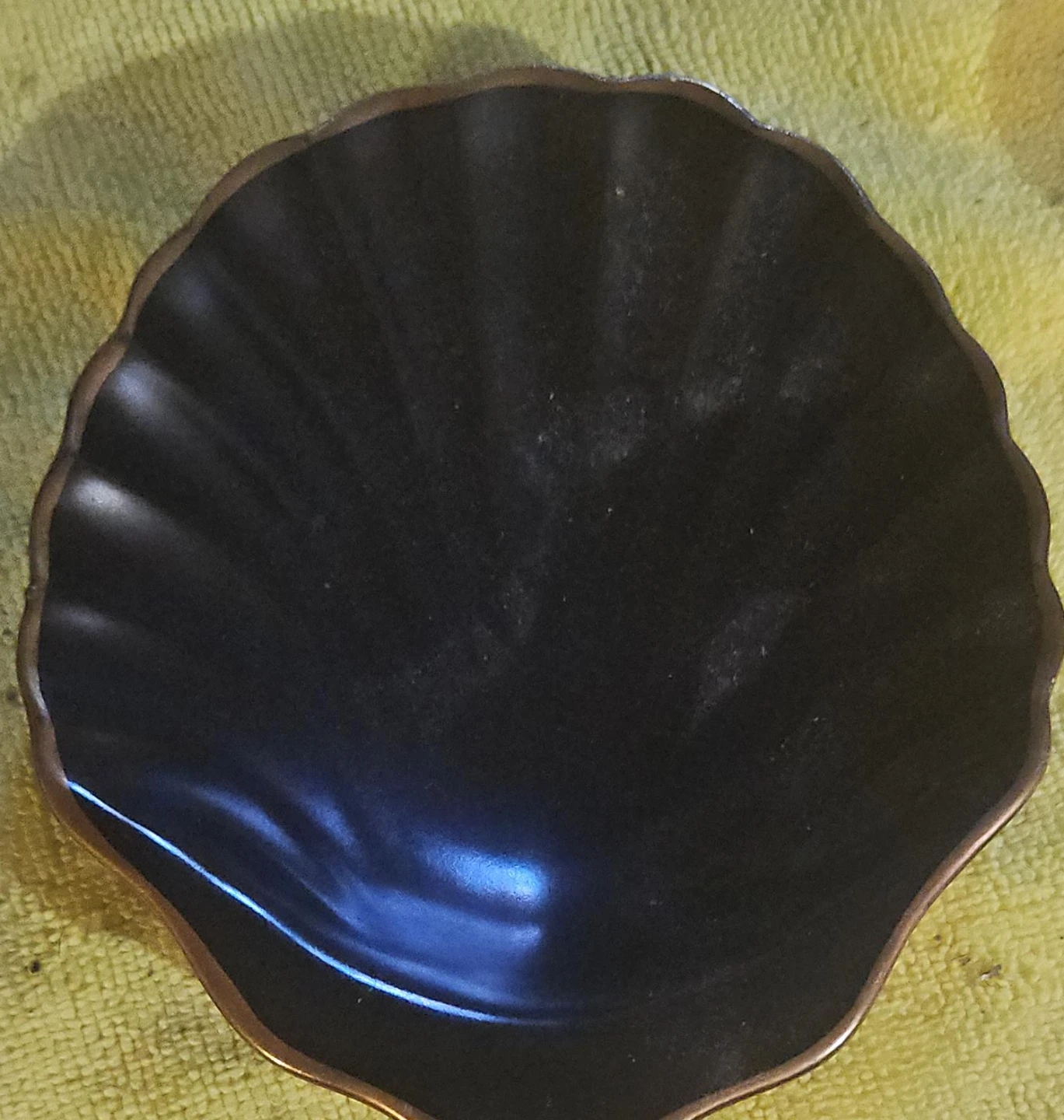 Decorative Shell Dish - Flora by Laura Hilland