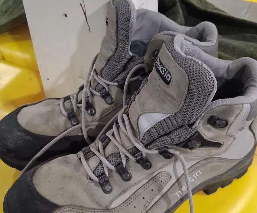 TrekSta Hiking Boots