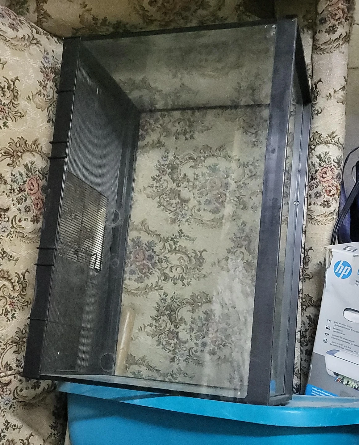 Glass terrarium or aquarium