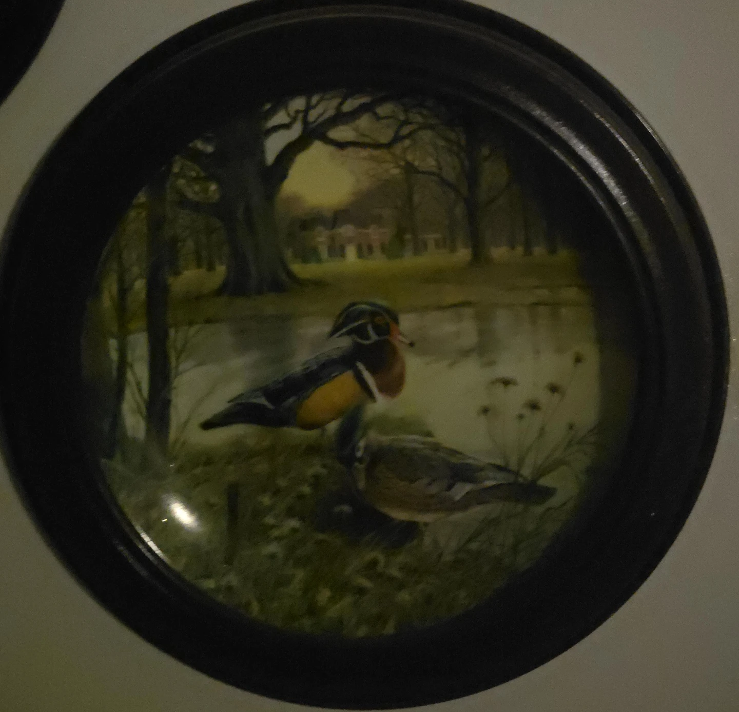 Framed Duck Scene Wall Art