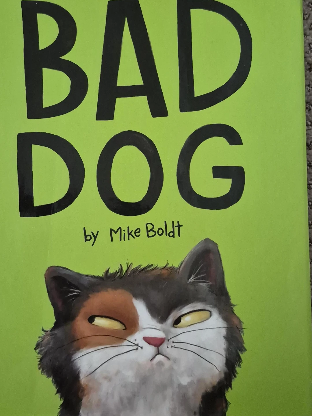 Bad Dog by Mike Boldt Children's Book