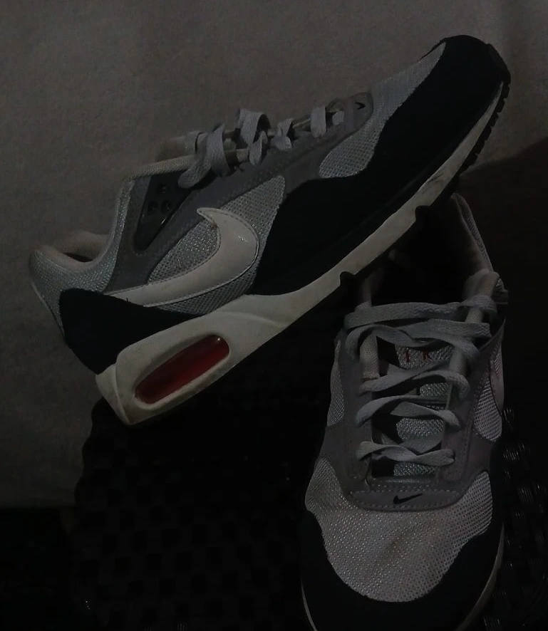 Nike Air Max Sneakers
