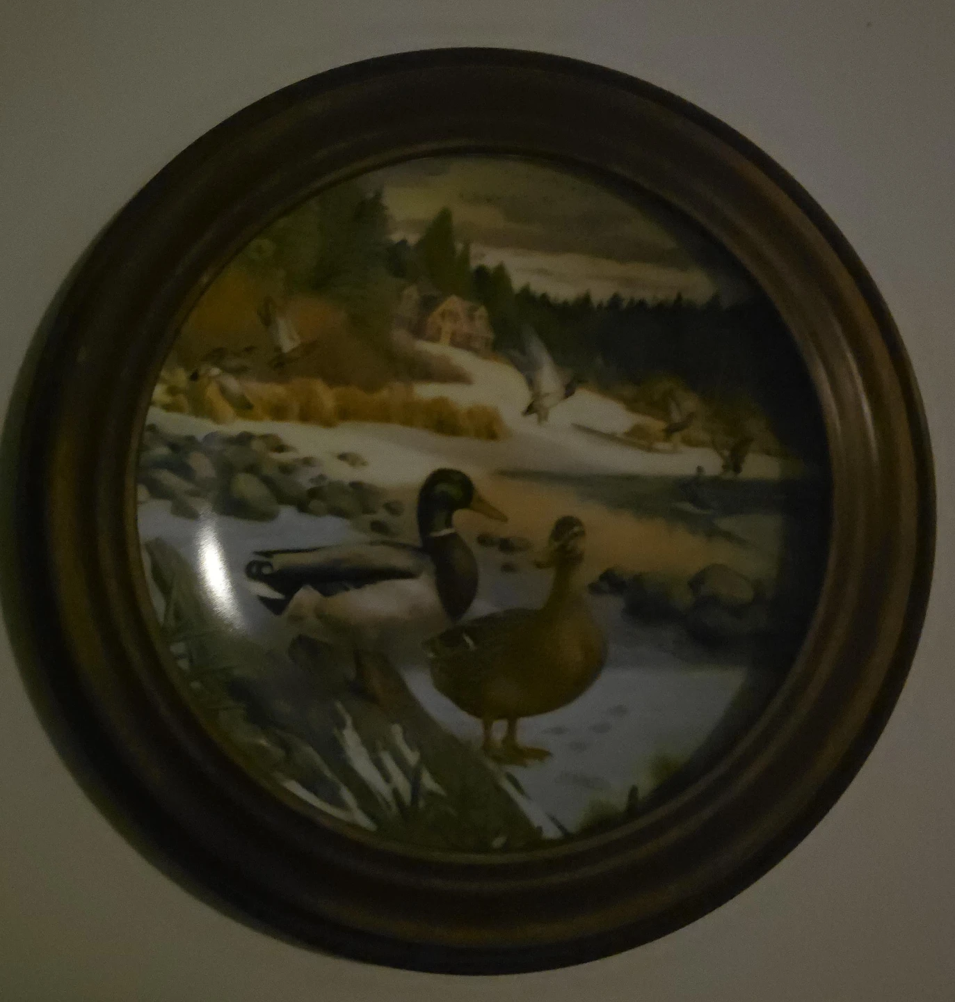 Framed Duck Scene Decorative Plate