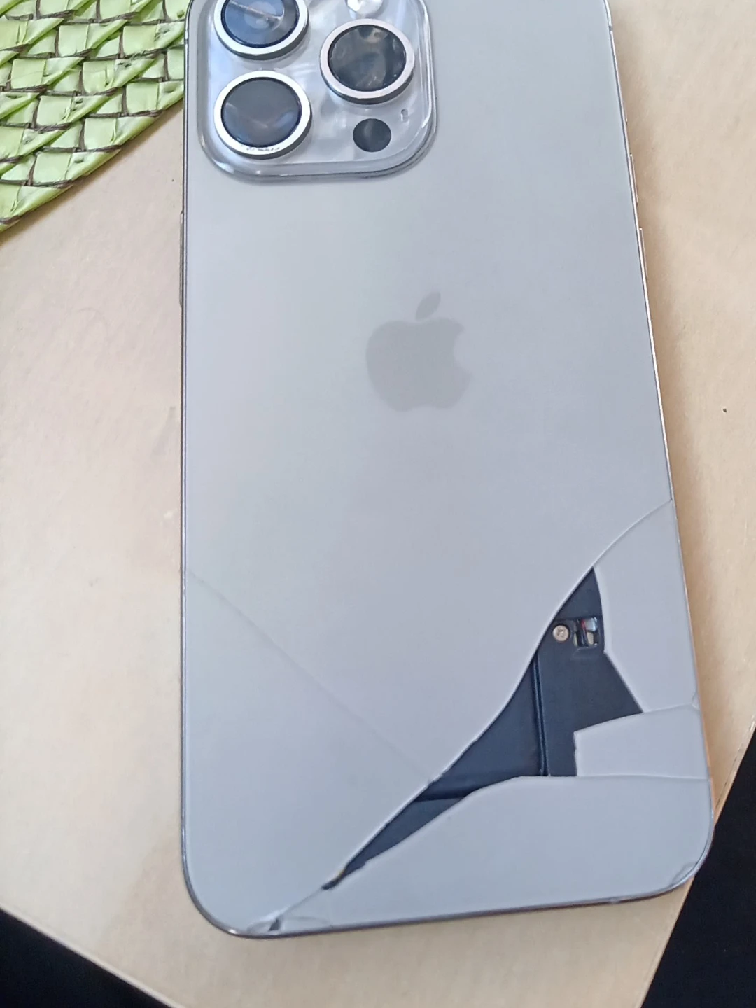 Apple iPhone 13 Pro Max - Broken Back Glass