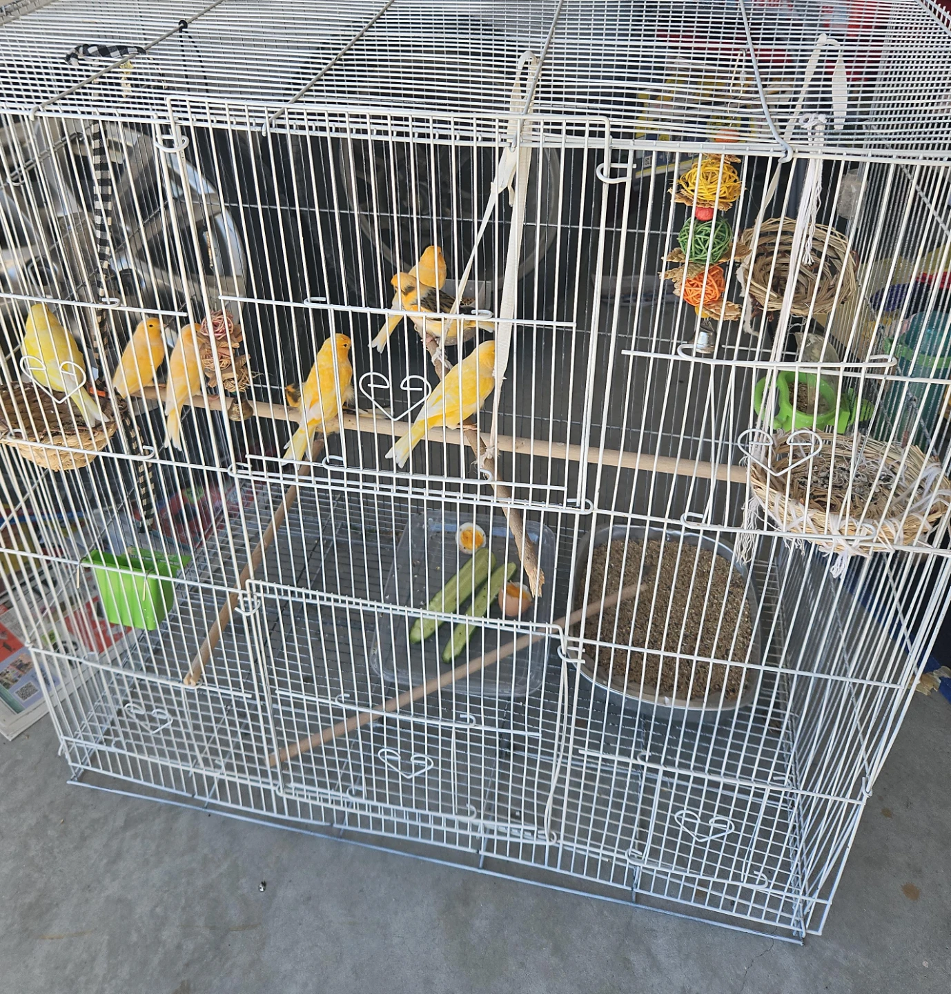 Large White Bird Cage