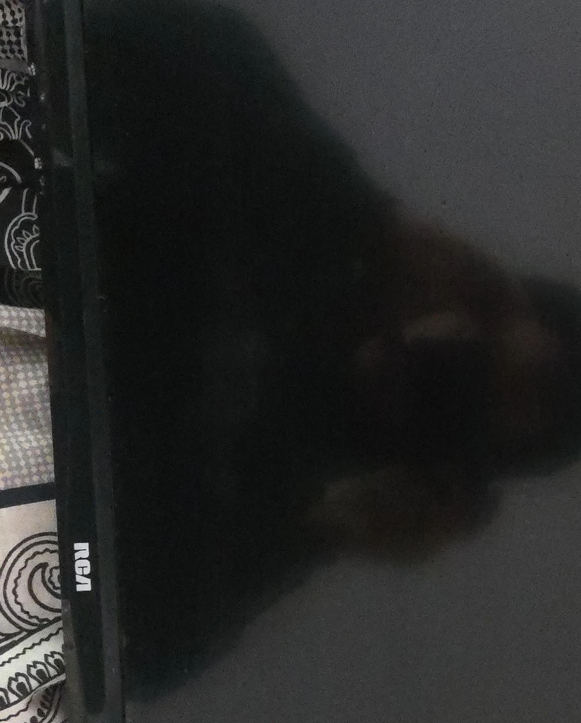RCA Roku TV 32" LED HDTV - photo 2