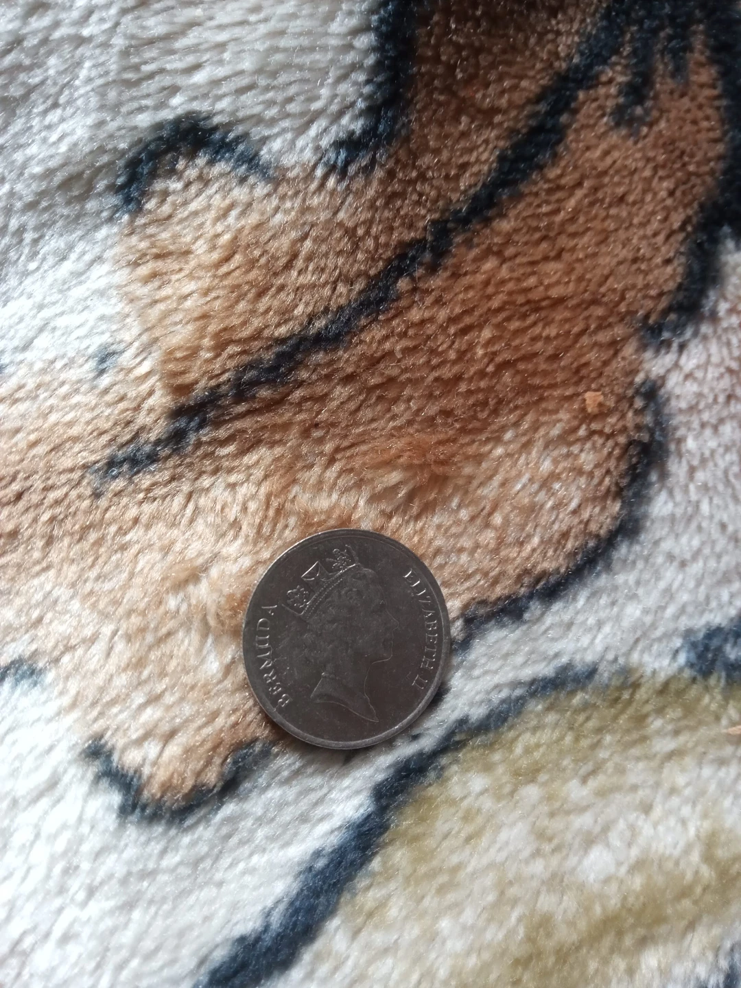Bermuda 25 Cent Coin - Queen Elizabeth II