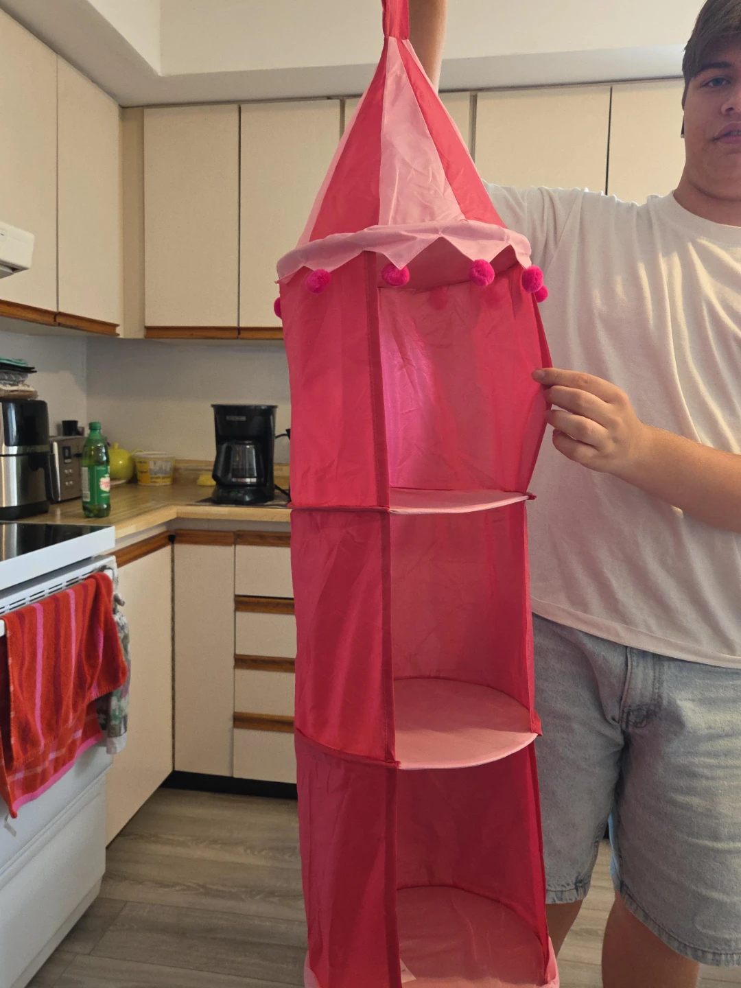 Hanging Closet Organizer - Pink Princess Castle