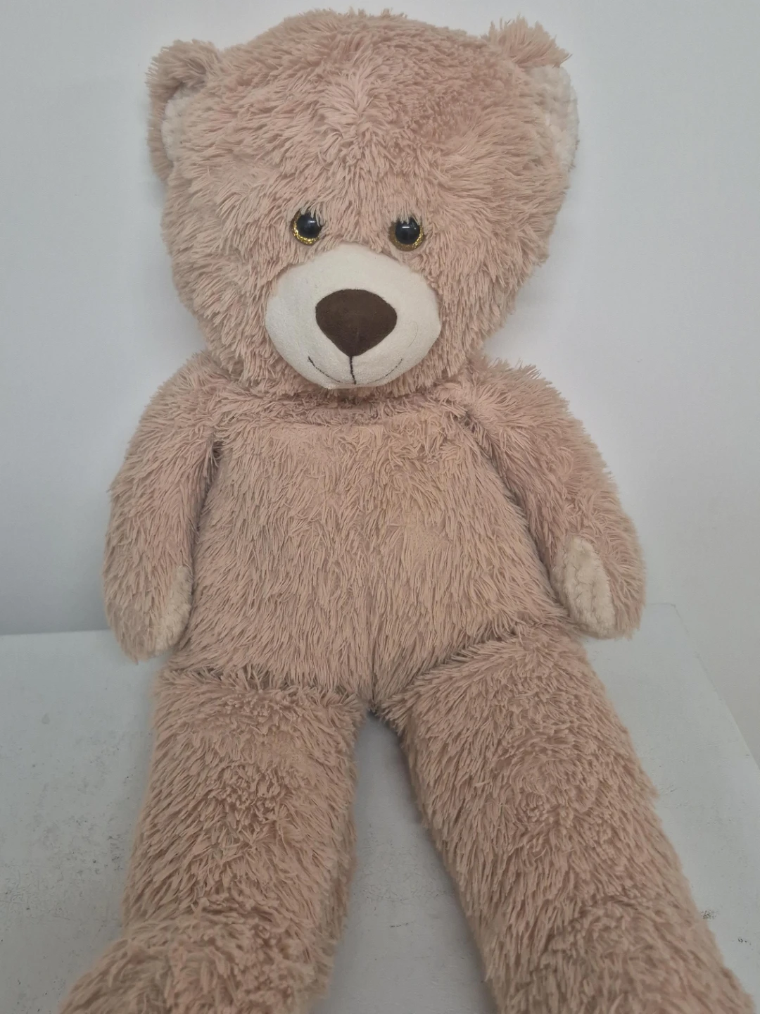 Plush Teddy Bear