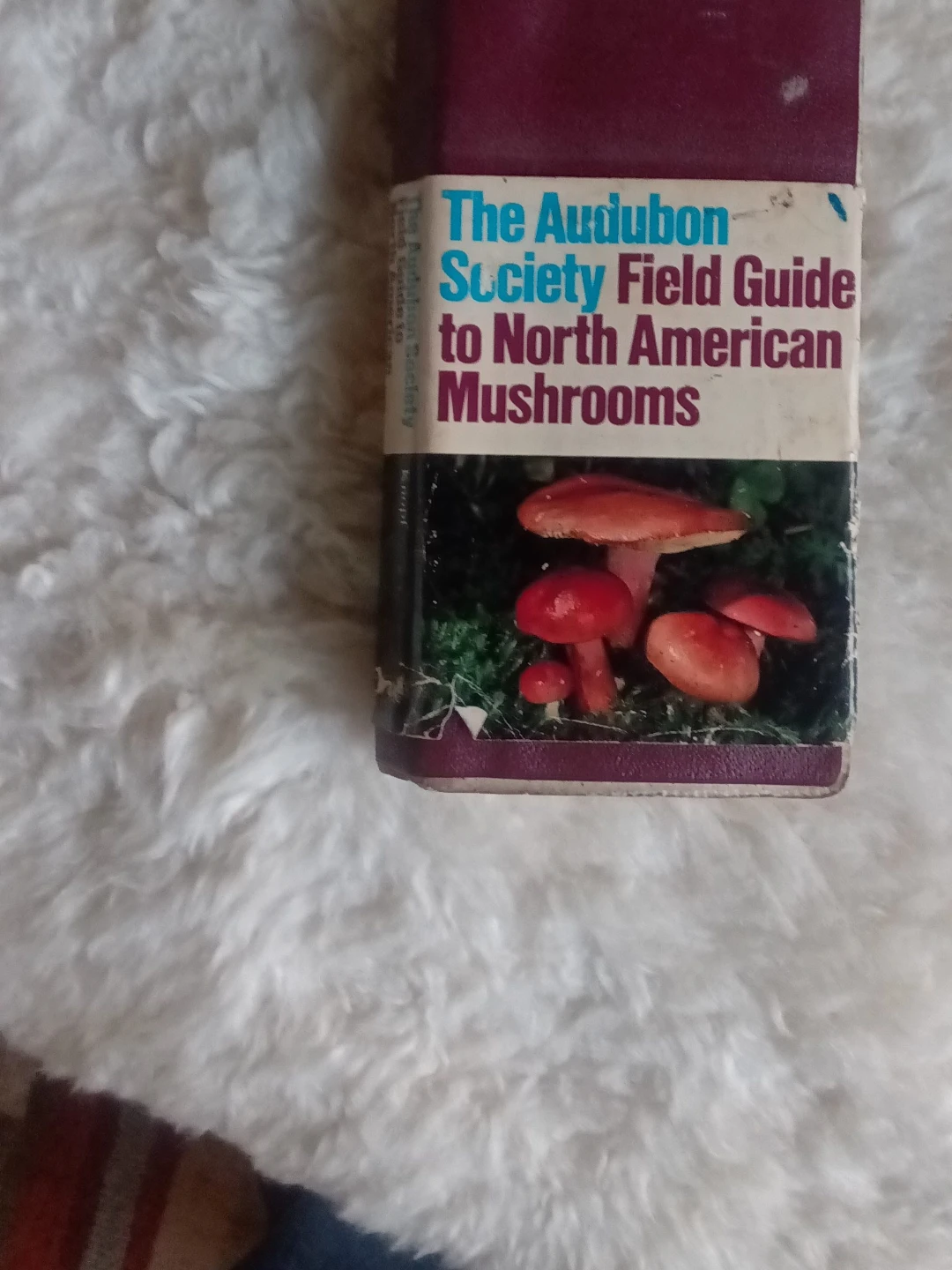 The Audubon Society Field Guide to North American Mushrooms