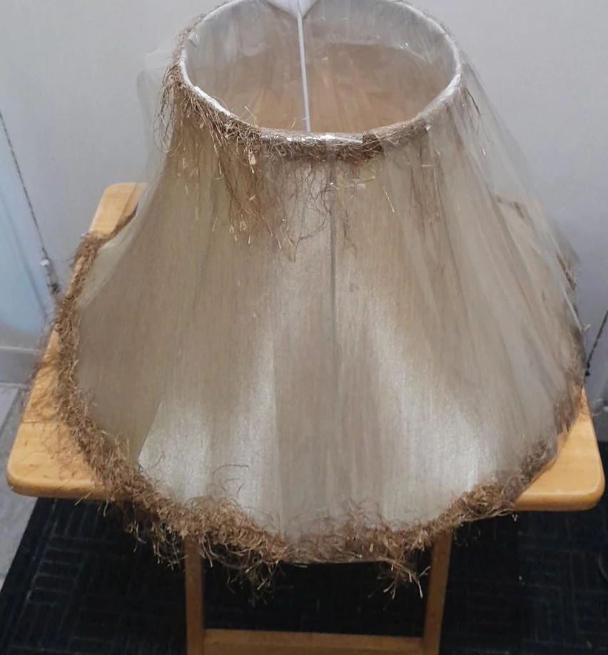 Lampshade with fringe