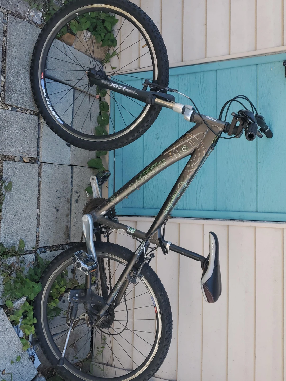 Mountain Bike
