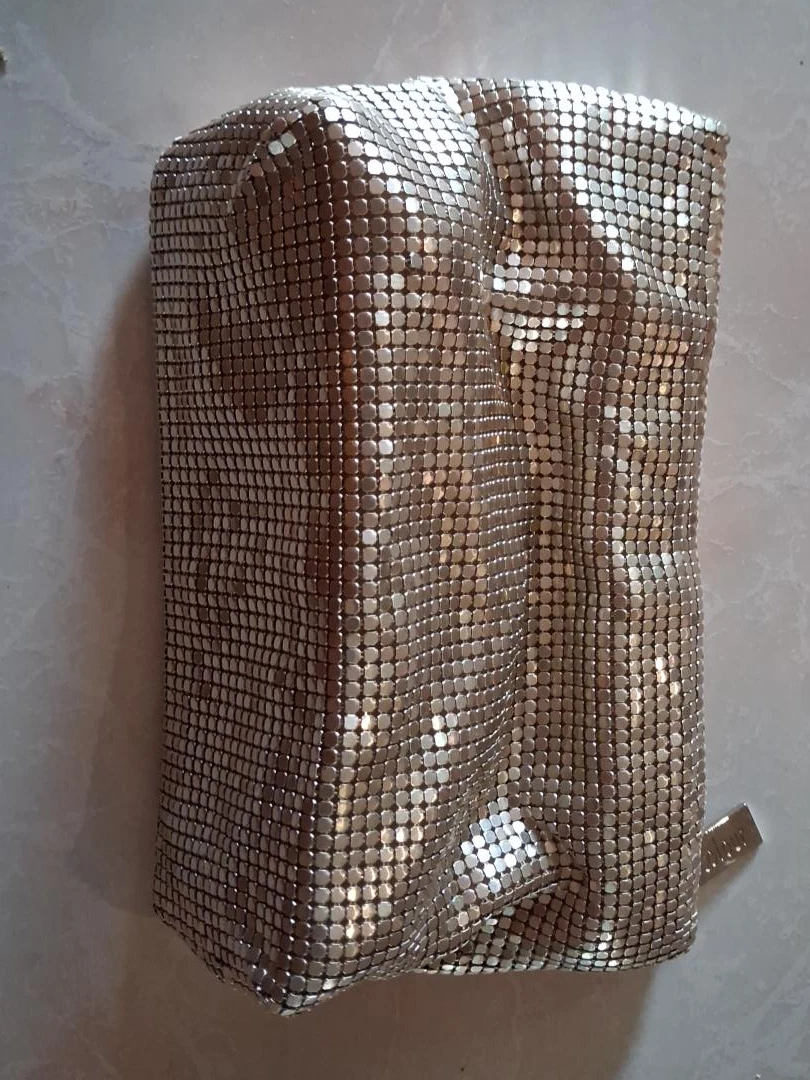 Silver Mesh pouch