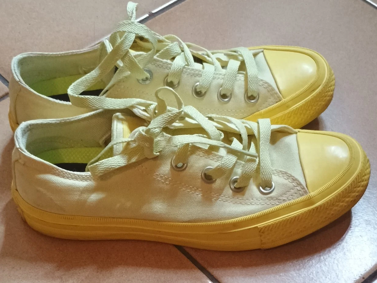 Converse Chuck Taylor All Star Low Top Sneakers