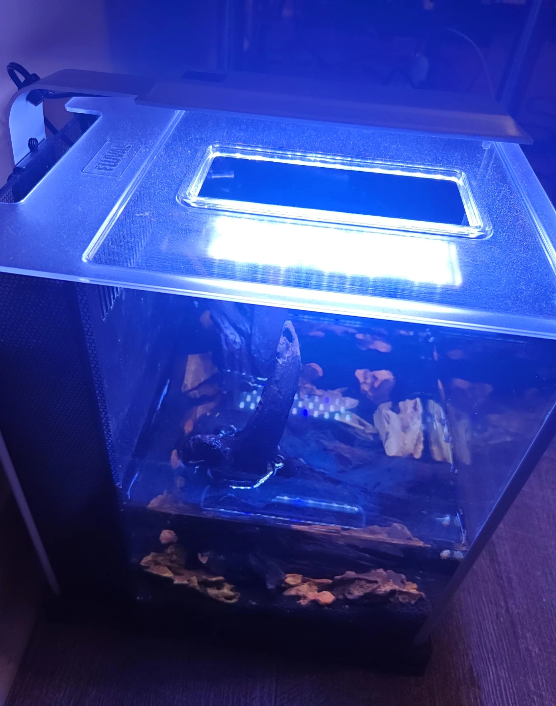 Fluval Aquarium with Kit including Bio-Stratum and Additives