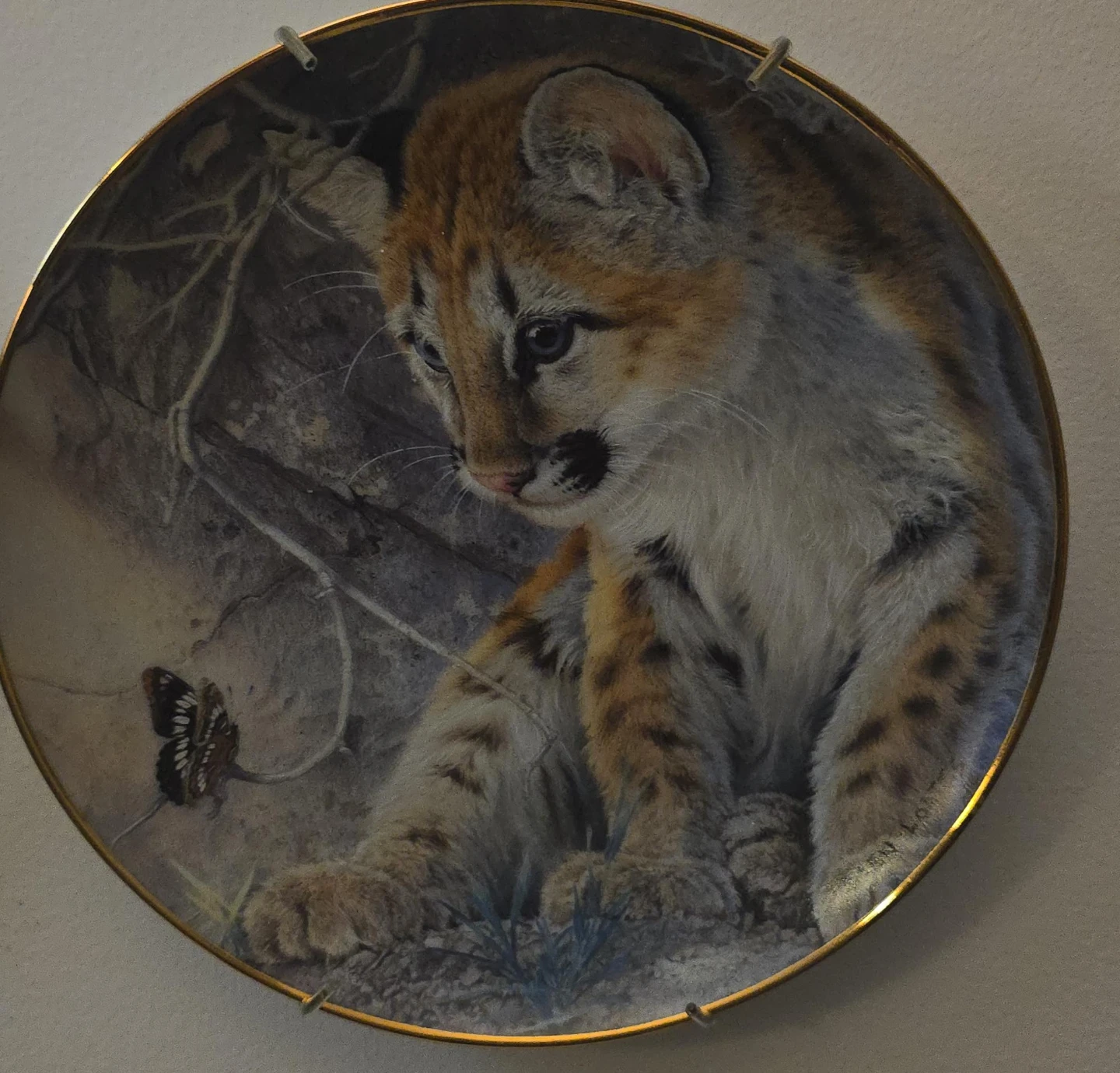 Decorative Plate - Cougar Kitten with Butterfly