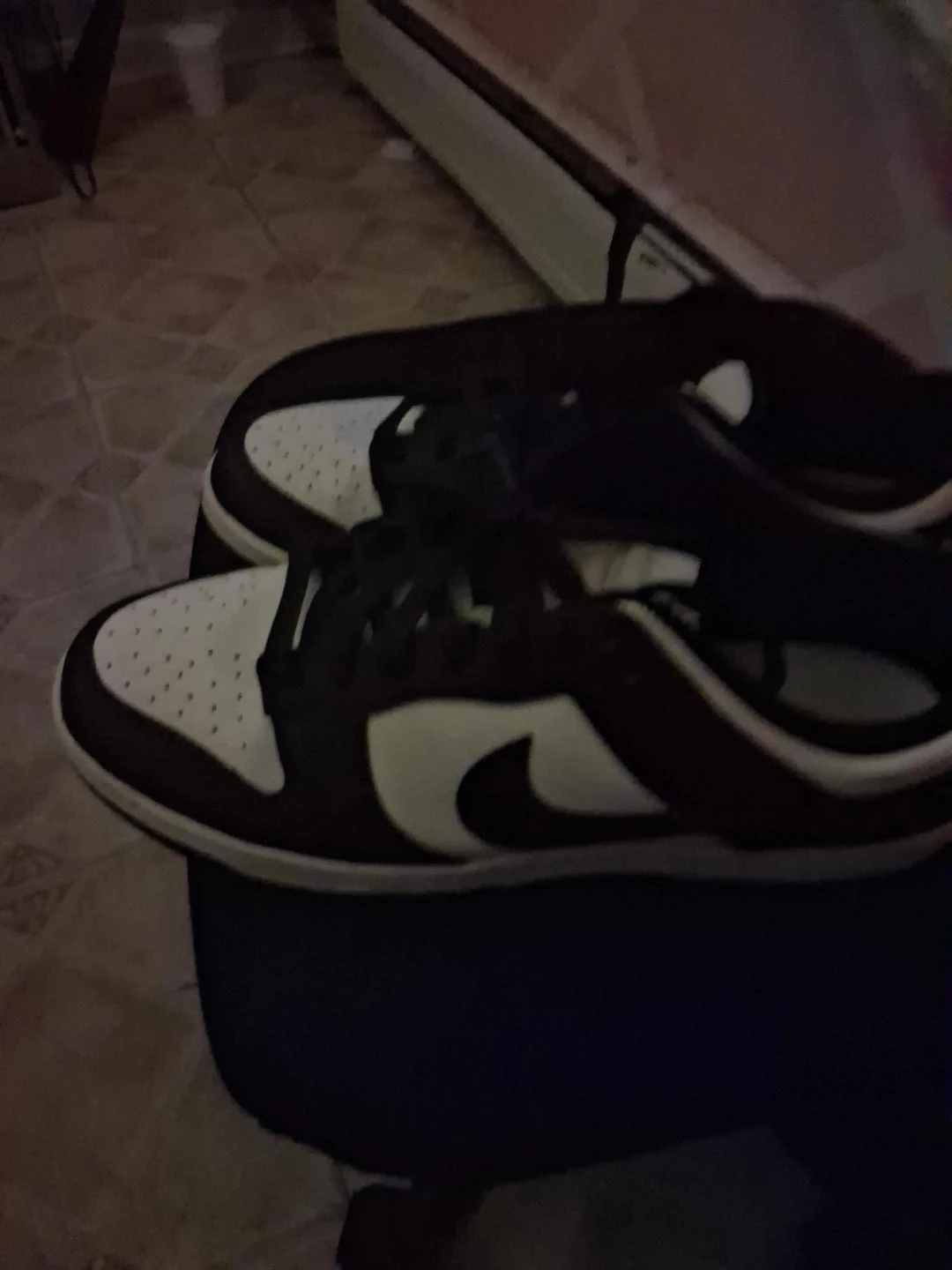 Nike Dunk Low (Black/White)