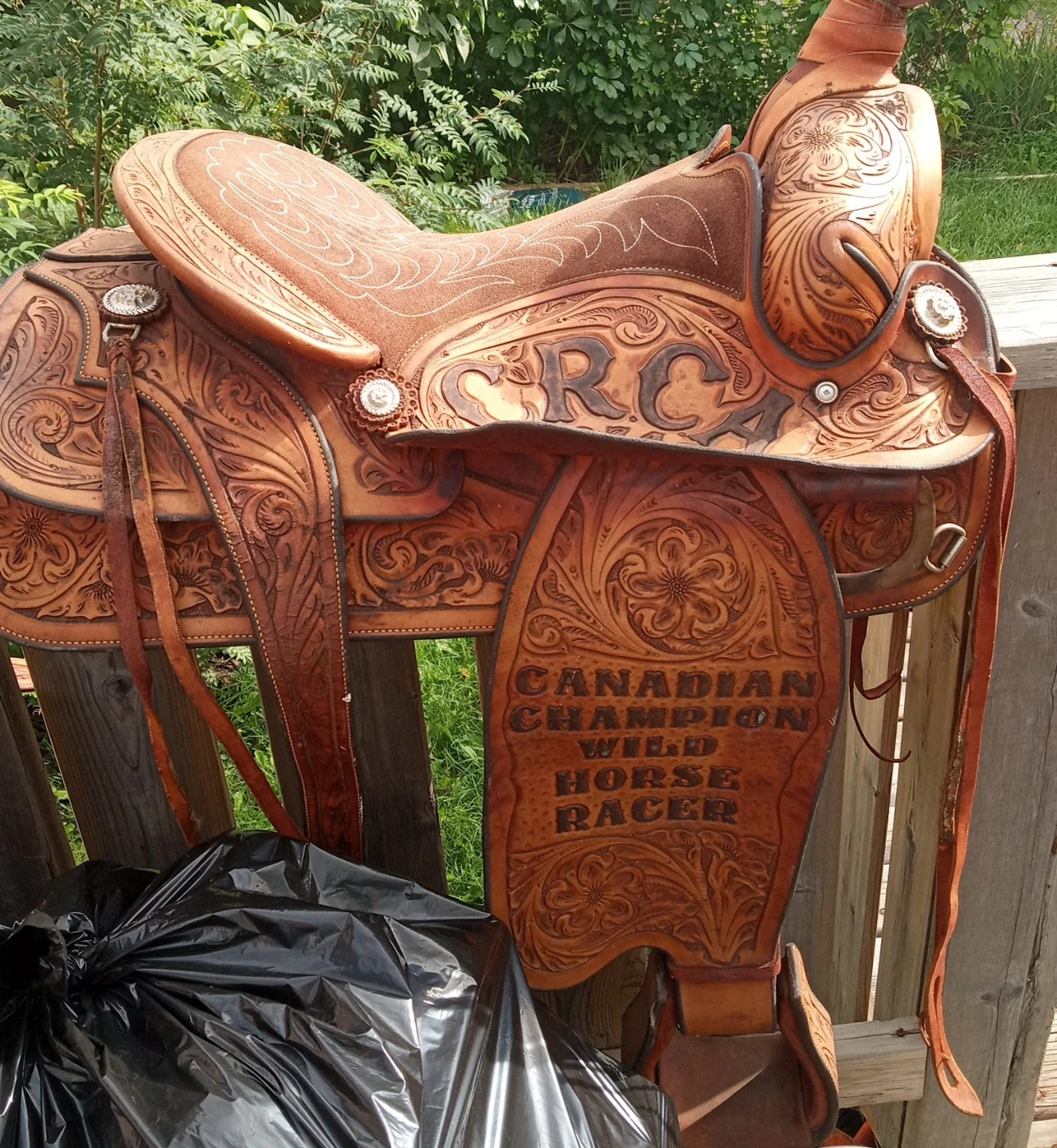 Custom Western Saddle - Canadian Champion Wild Horse Racer