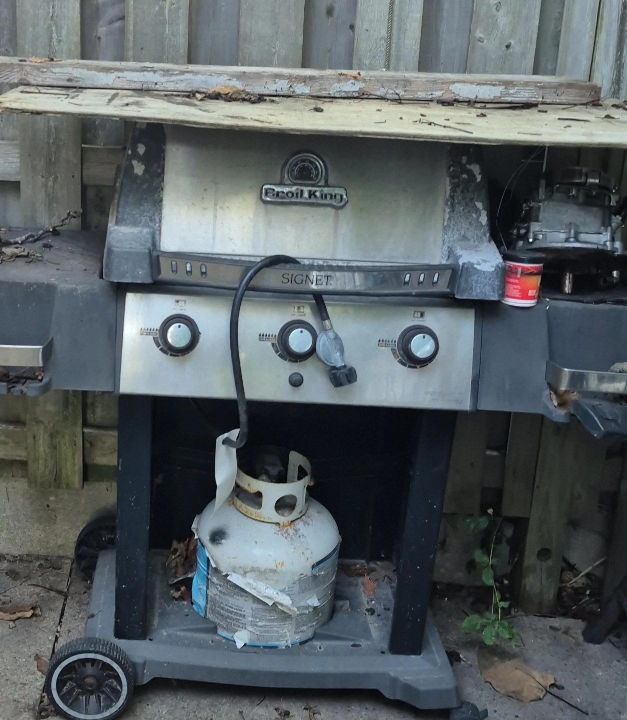 Broil King Signet Propane Grill