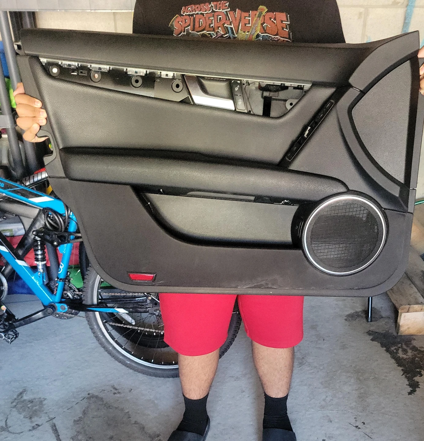 Mercedes-Benz Door Panel