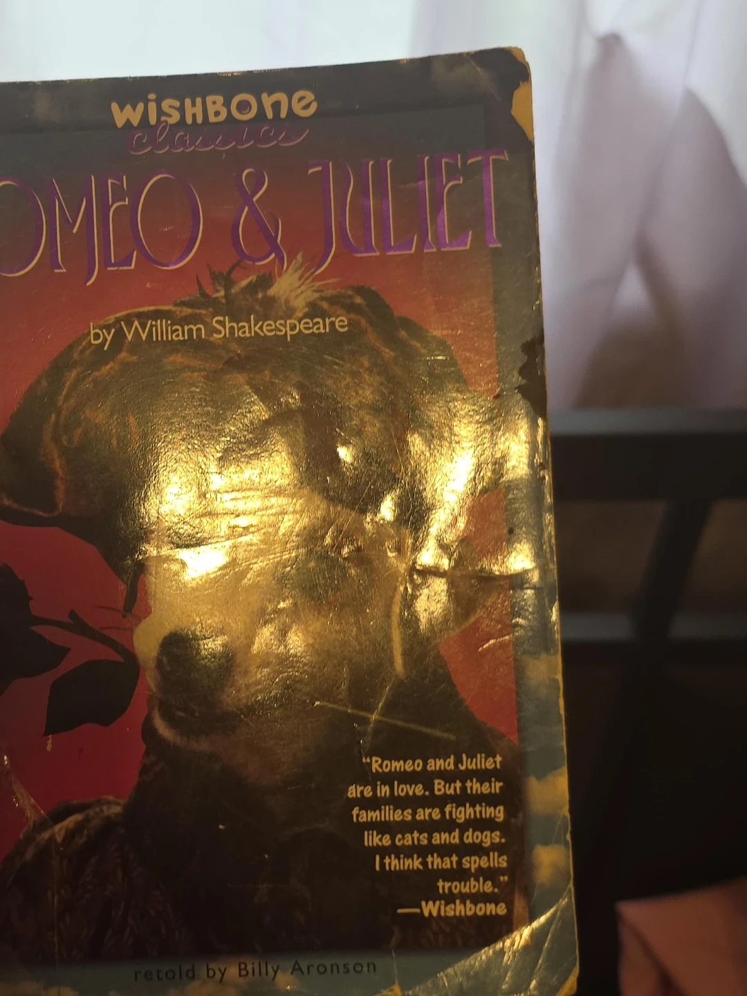 Wishbone Classics Romeo & Juliet by William Shakespeare