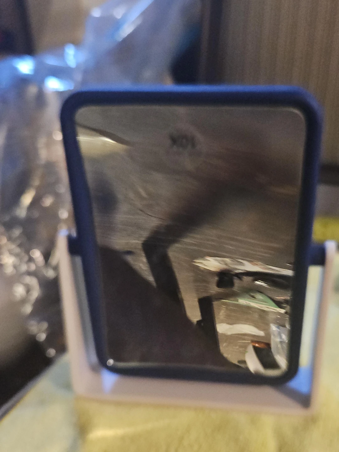 Silhouette 10x Magnifying Mirror