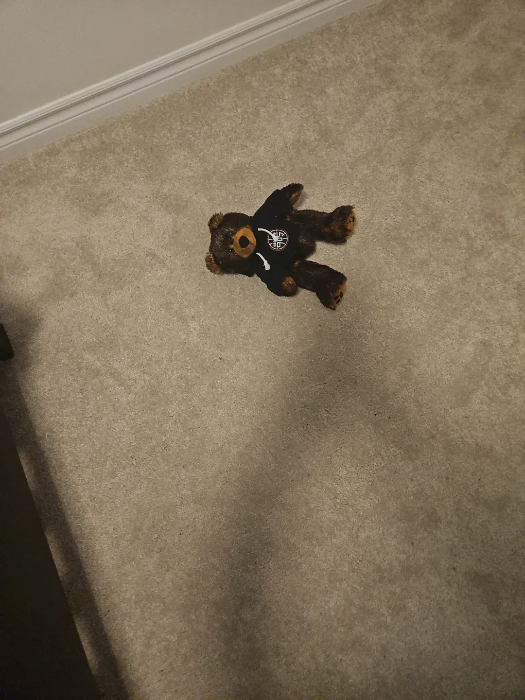Brown Teddy Bear with Clippers Hoodie
