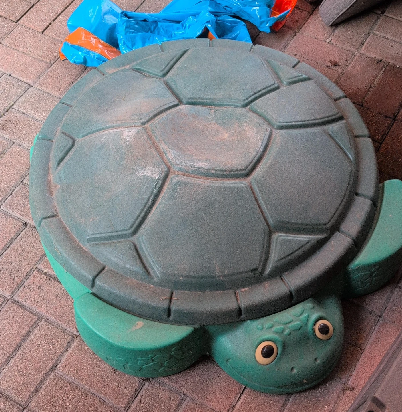 Turtle Sandbox