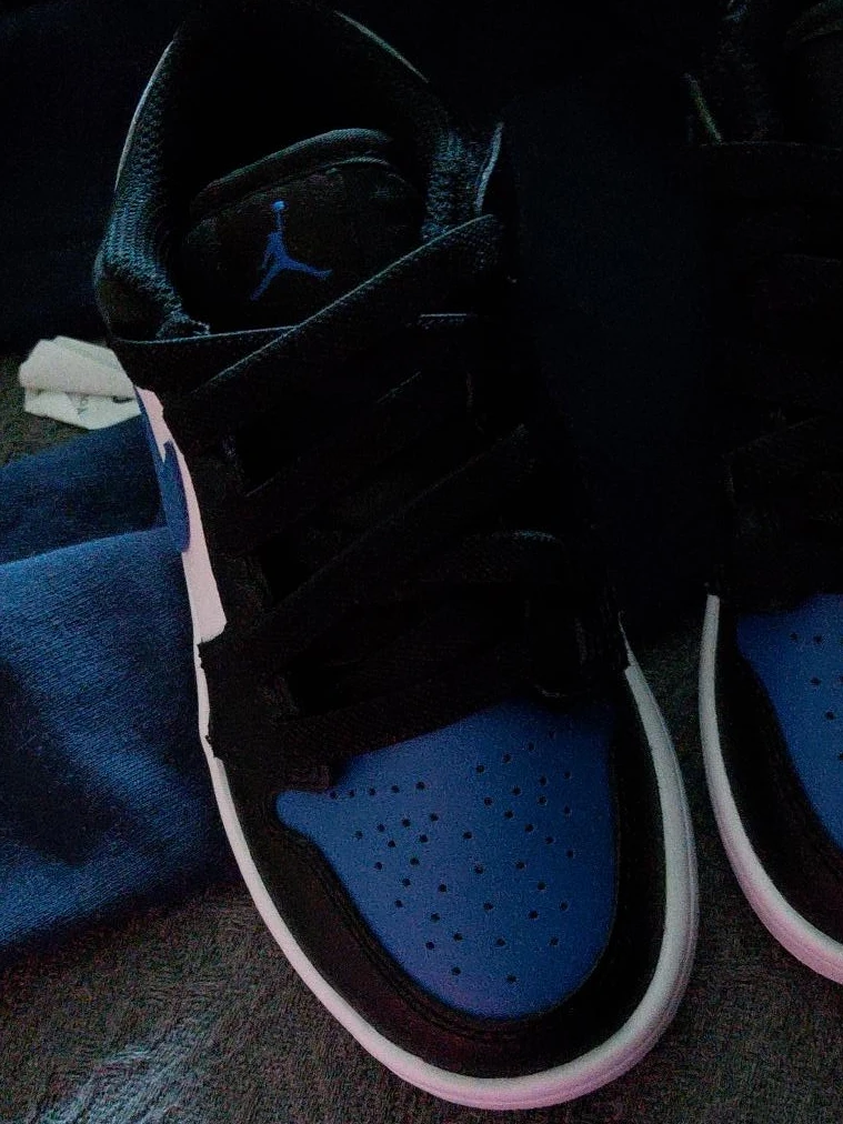 Air Jordan 1 Low SE Sneakers