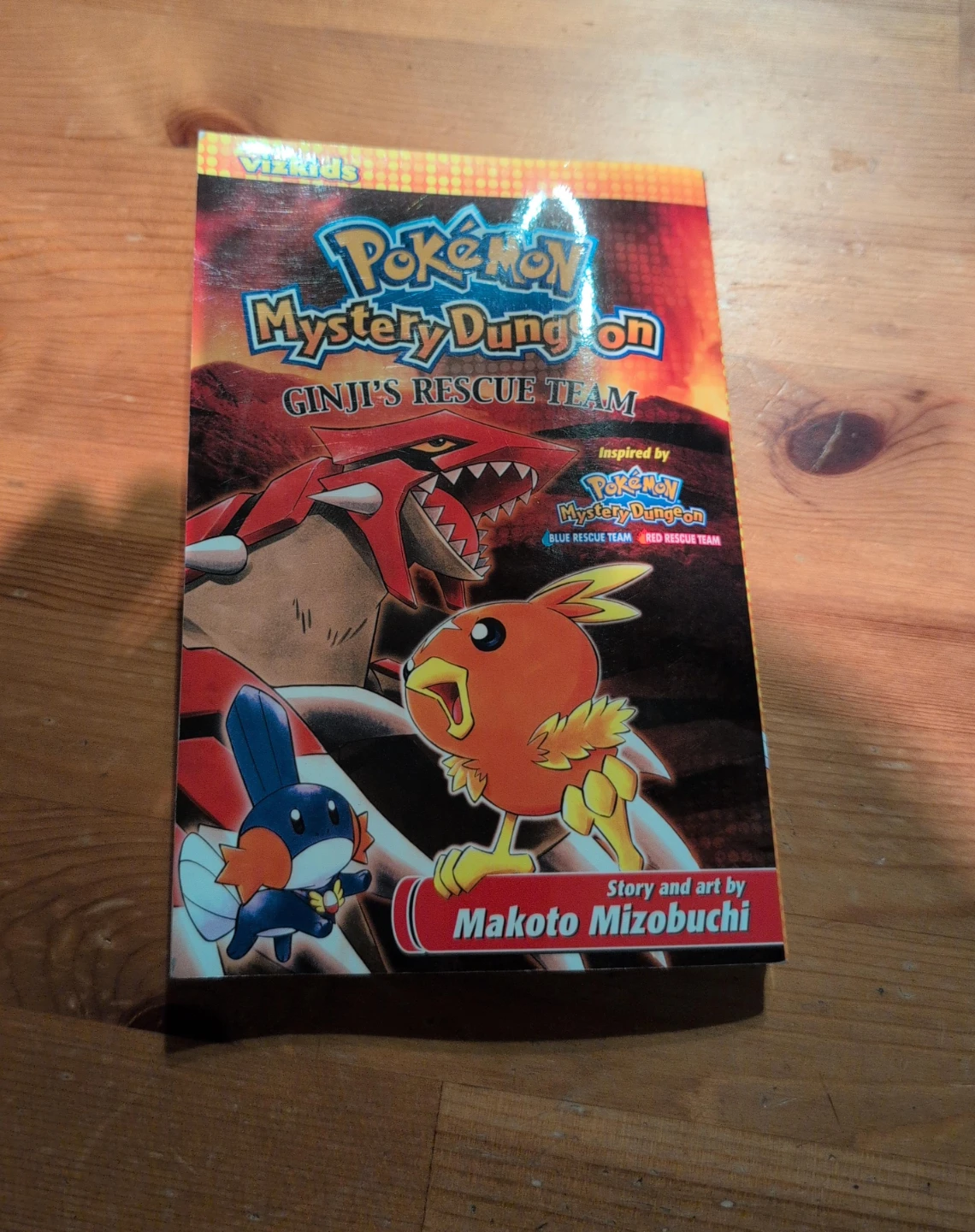 Pokémon Mystery Dungeon: Ginji's Rescue Team Book