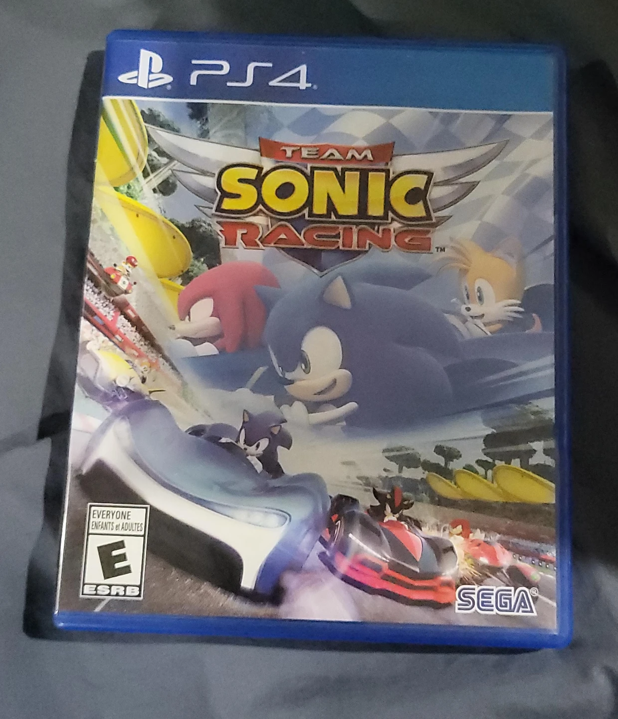 Team Sonic Racing PS4 Game