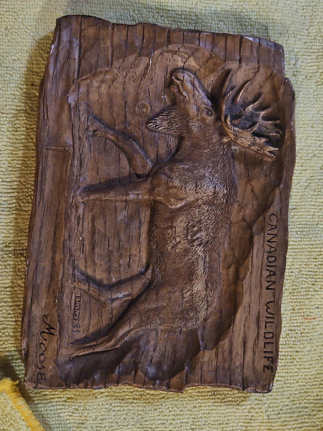 Carved Moose Canadian Wildlife Plaque