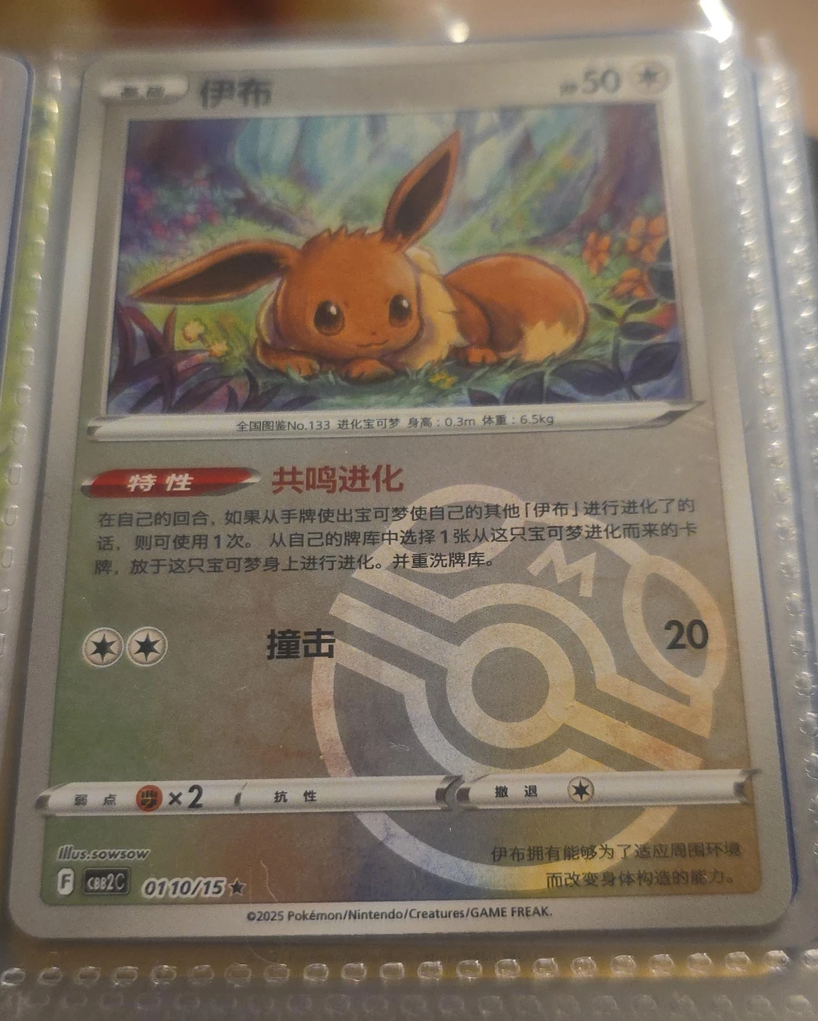 Pokémon Eevee Trading Card