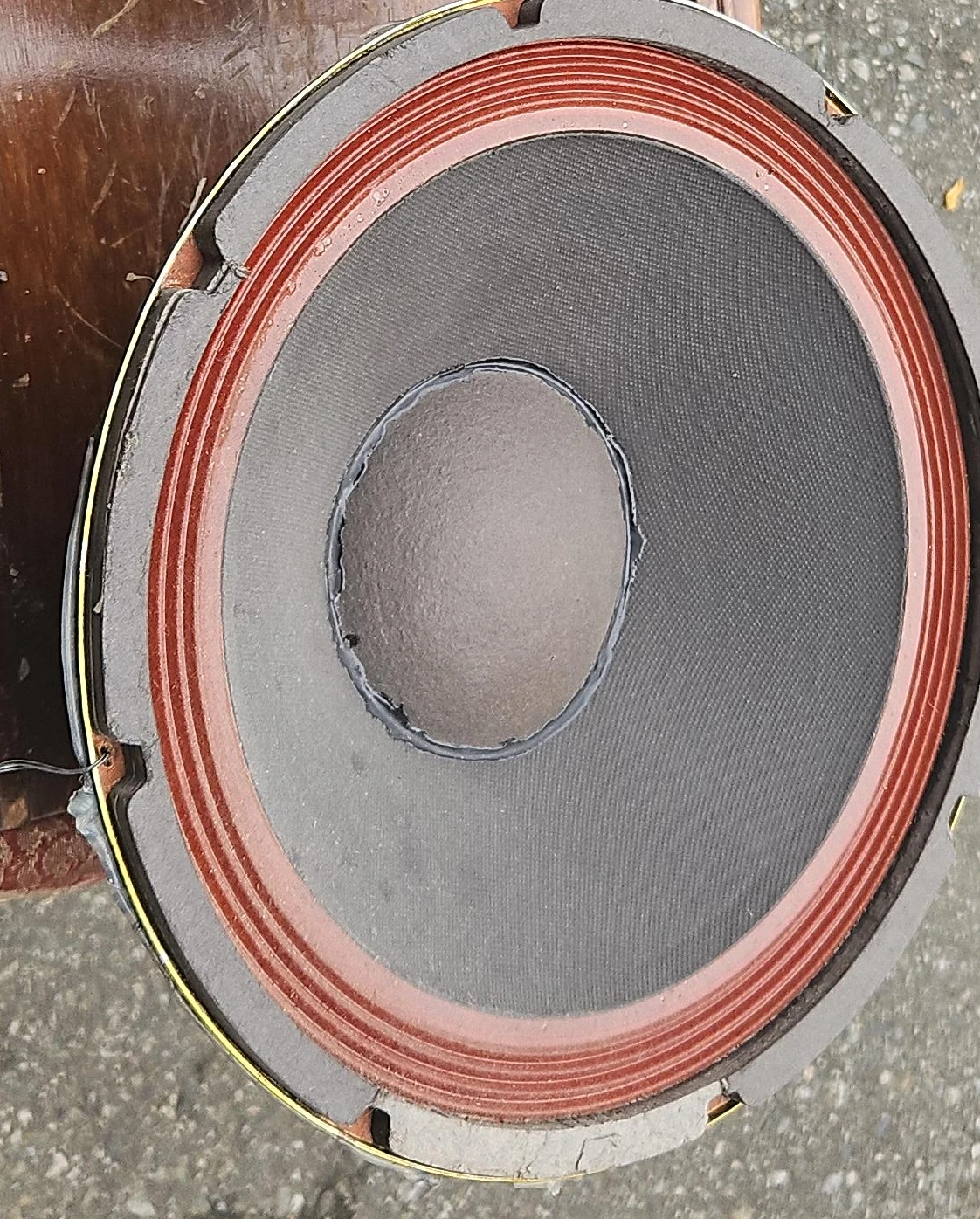 Two 11-inch loudspeaker drivers