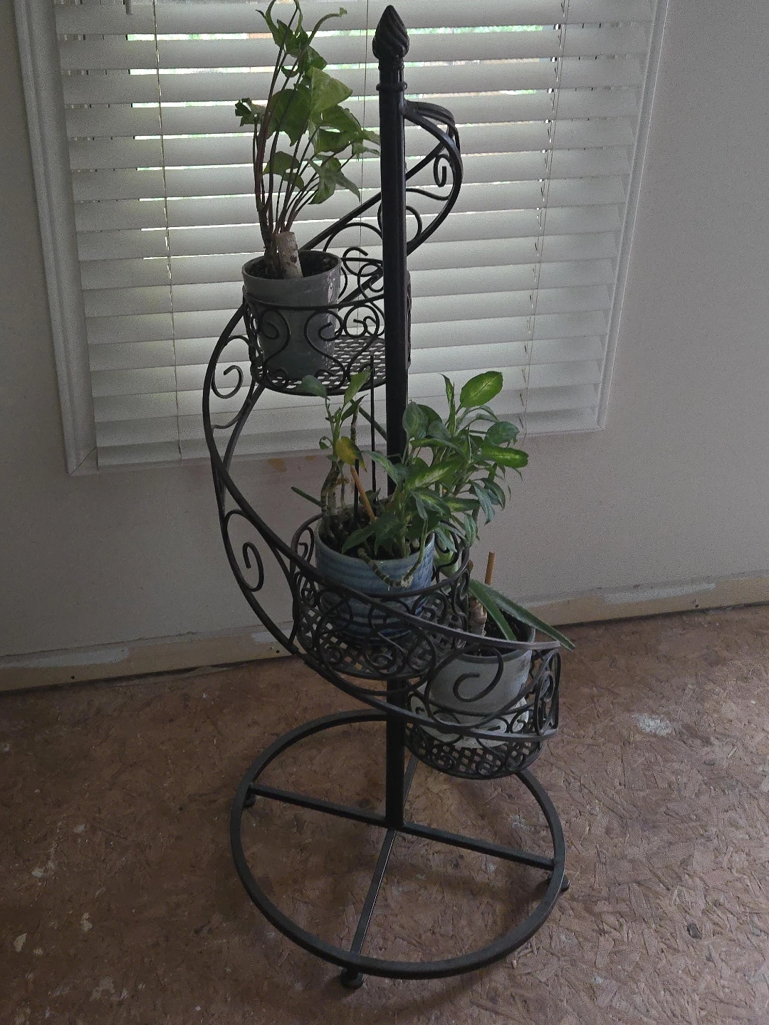 Black Spiral Metal Plant Stand