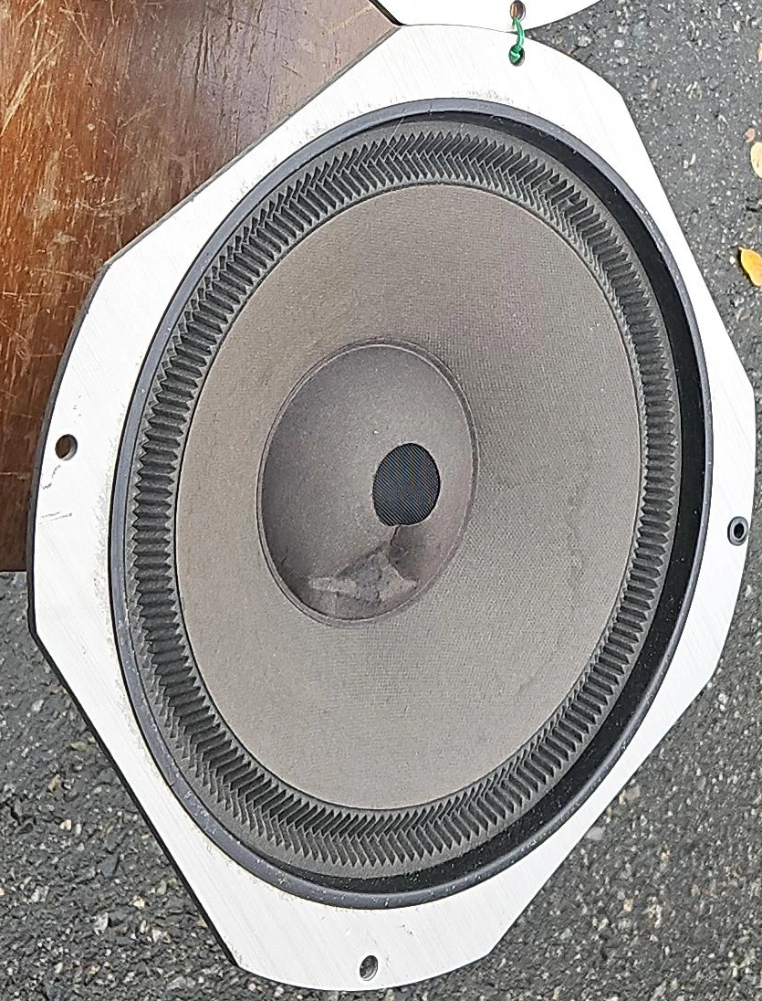 Pair of 14-inch Replacement Speaker Drivers