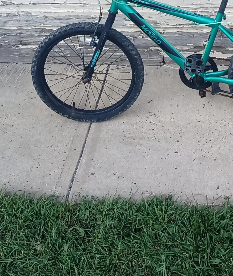 Movelo Algonquin 20 inch mountain bike