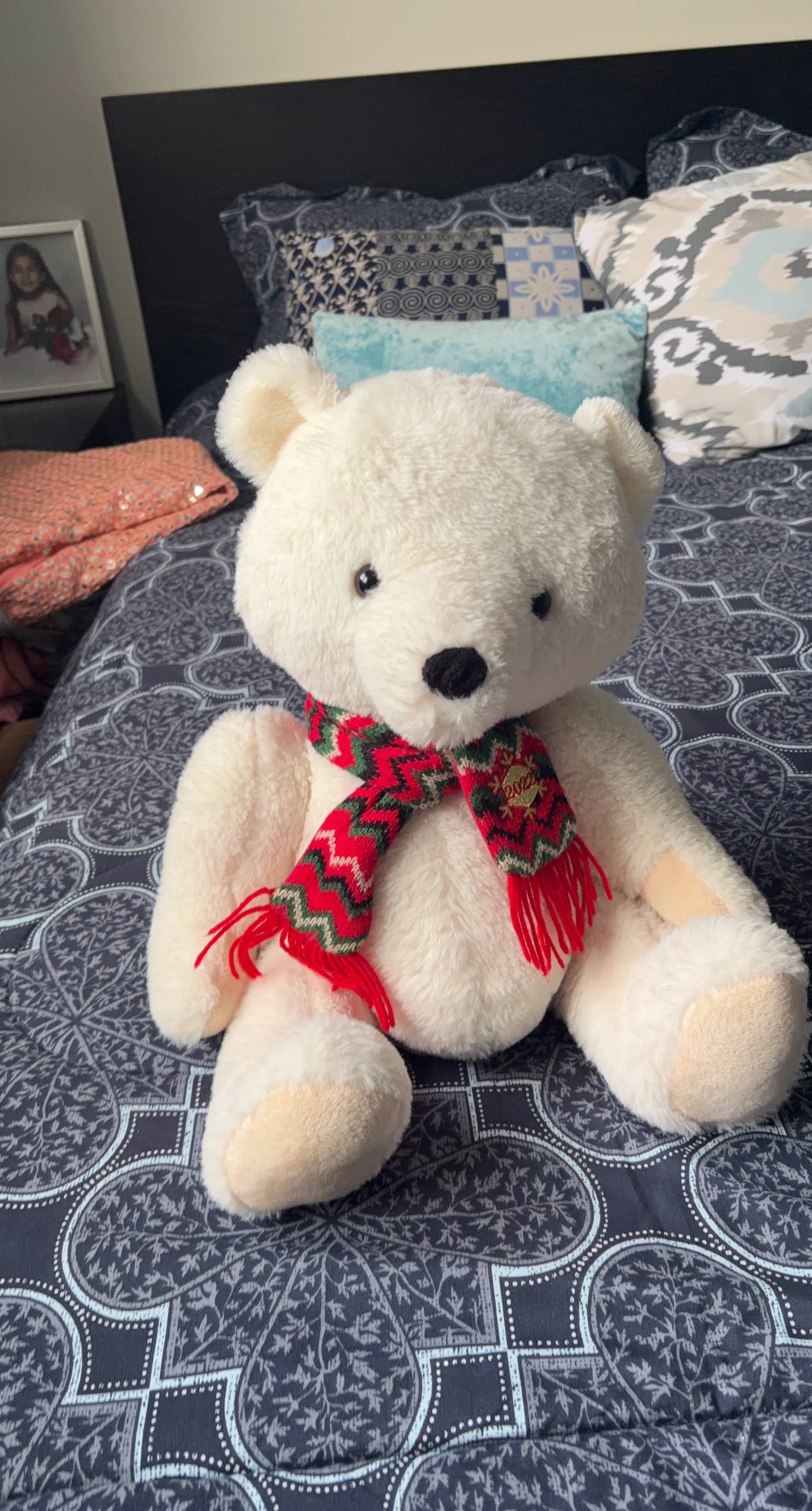 White Teddy Bear with 2022 Scarf
