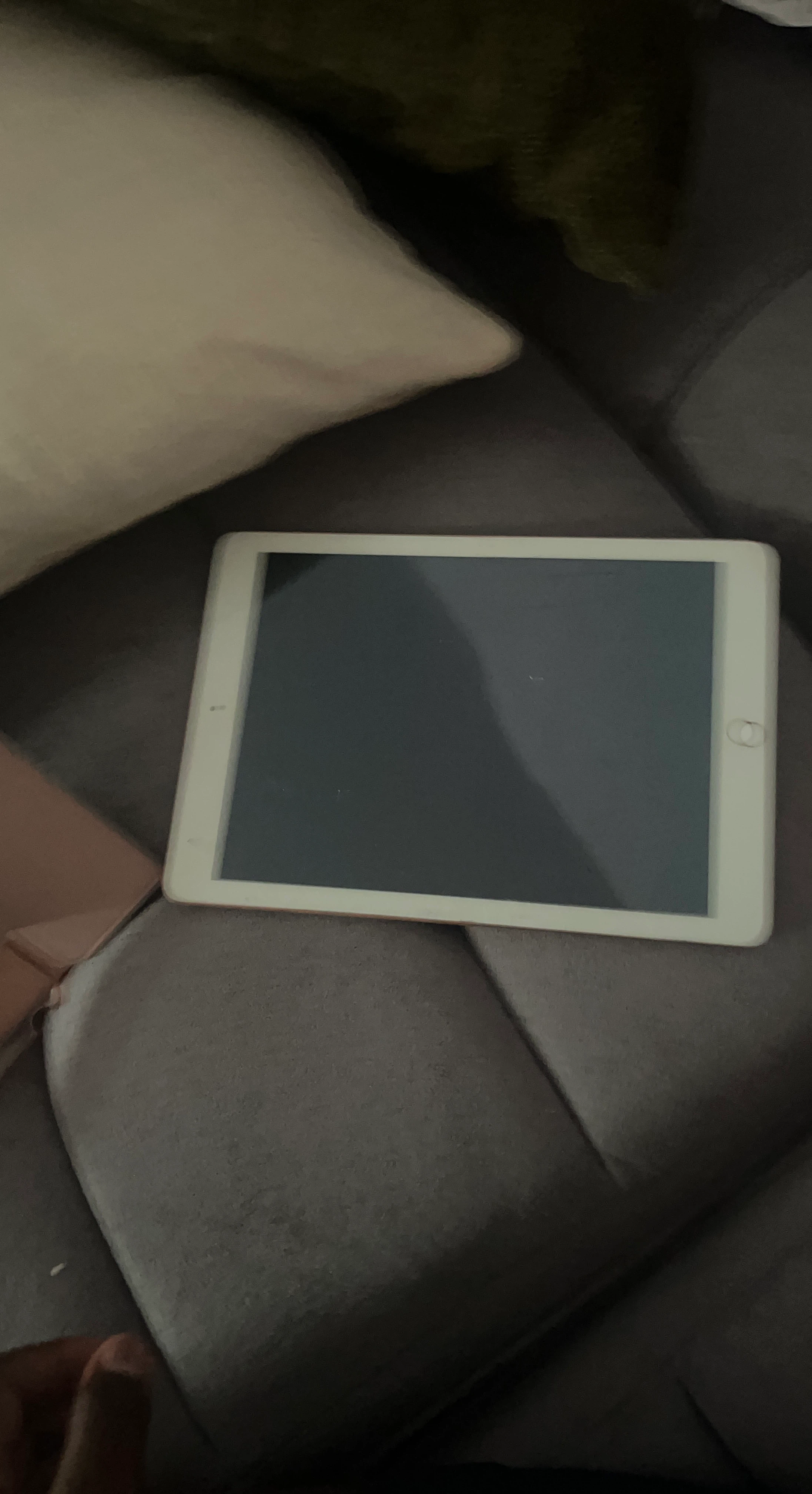 Apple iPad