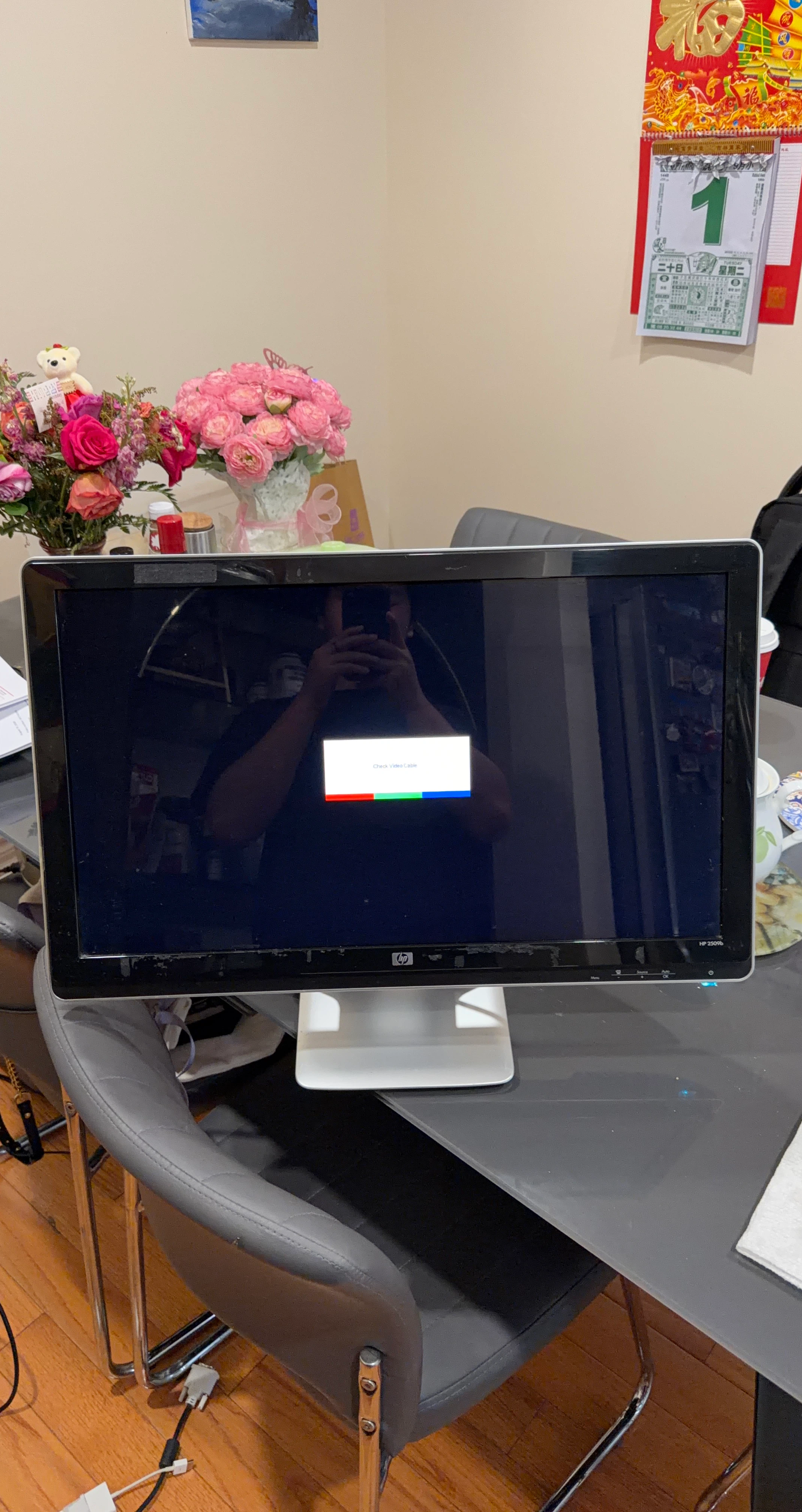 HP 2509b Monitor