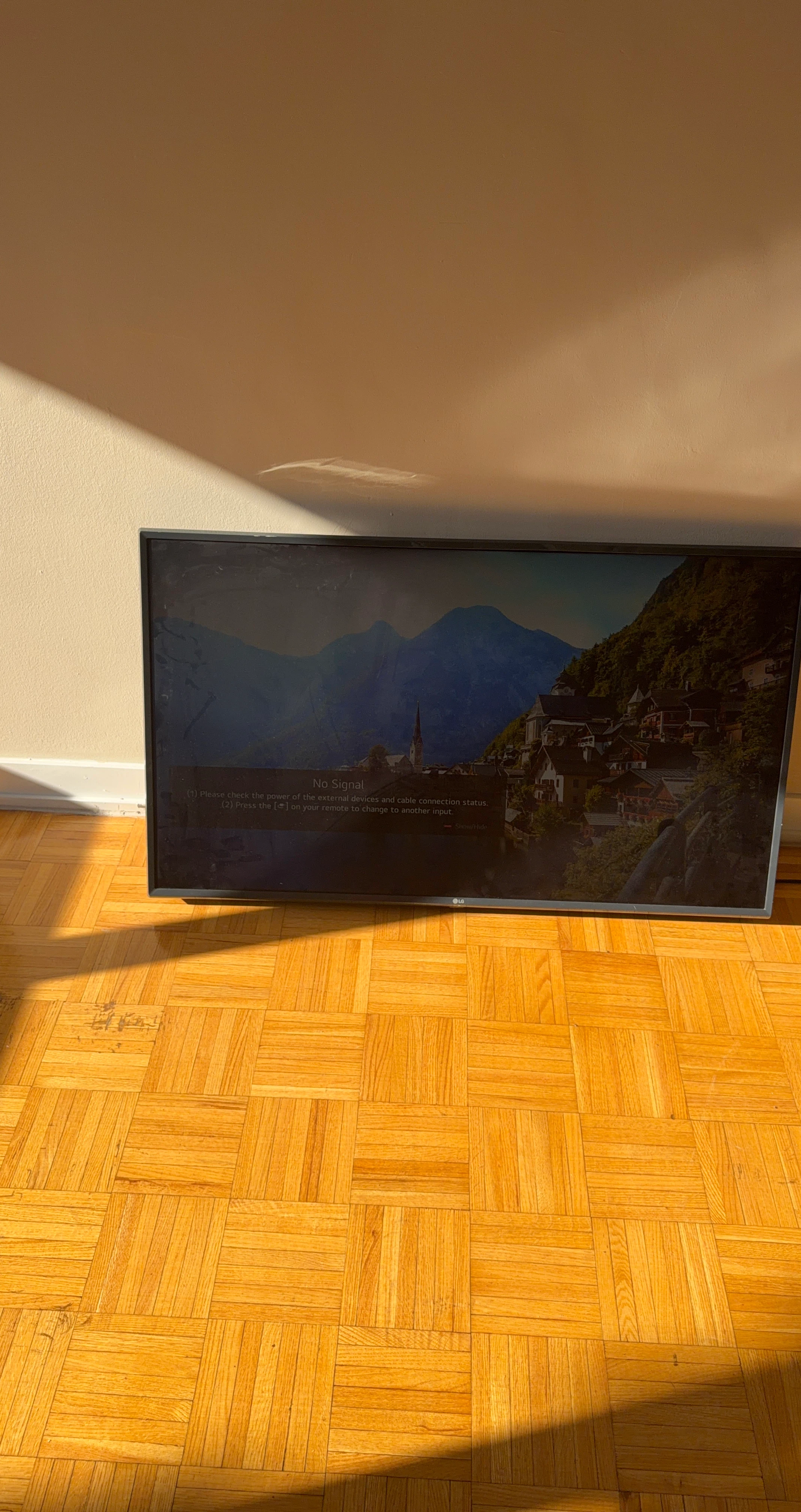 LG Television