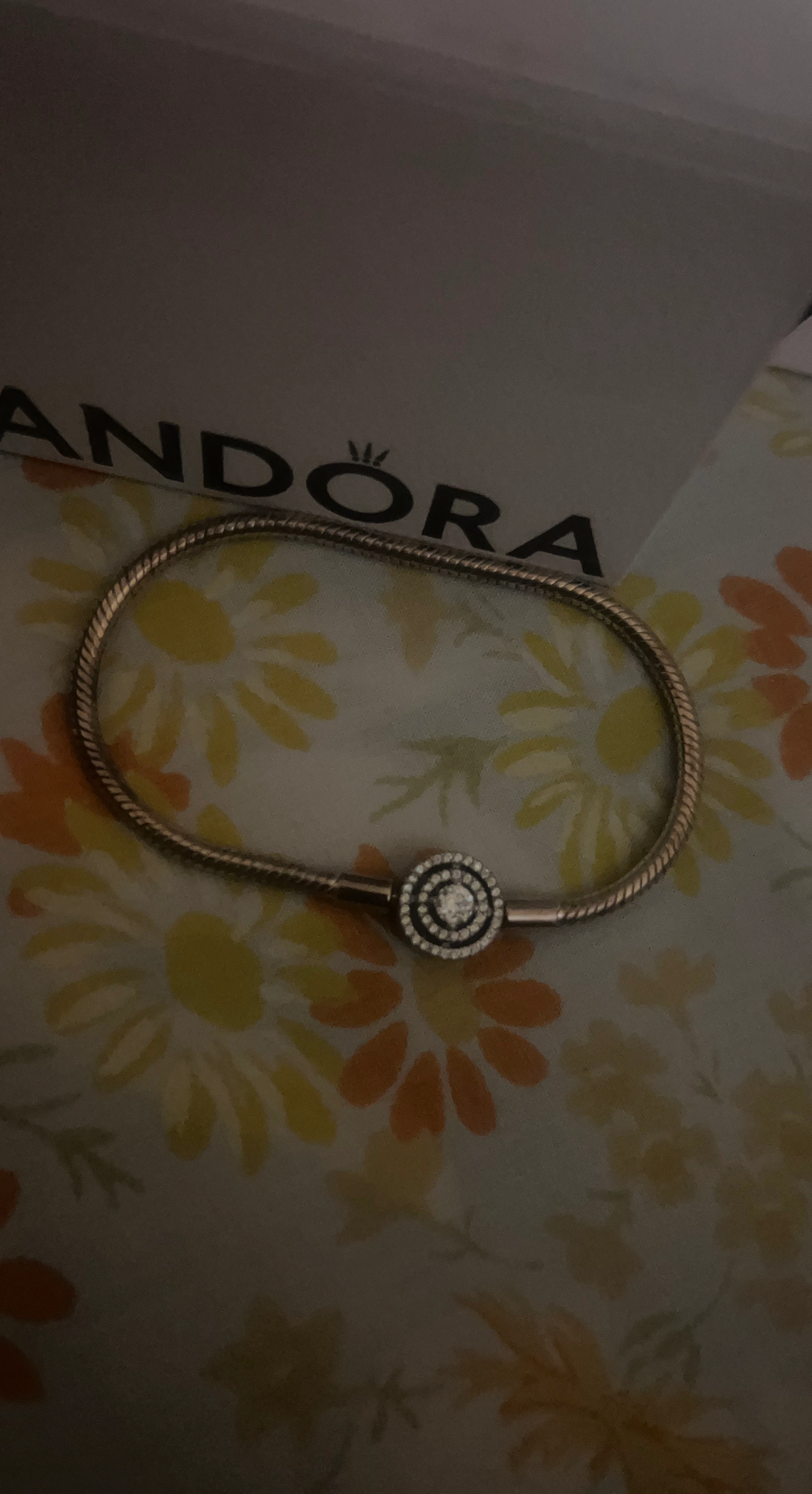 Pandora Snake Chain Bracelet