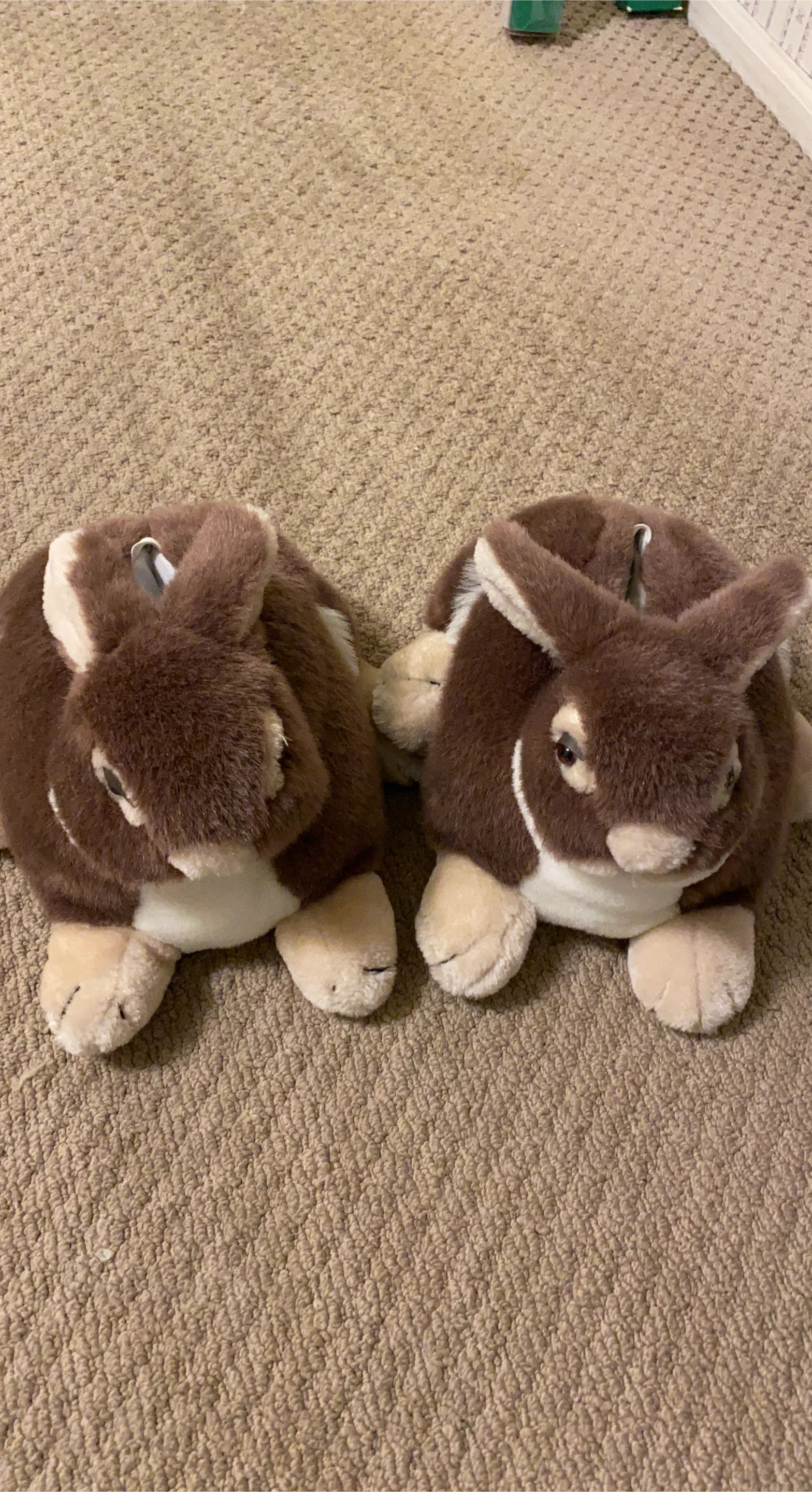 Brown Bunny Slippers Size M