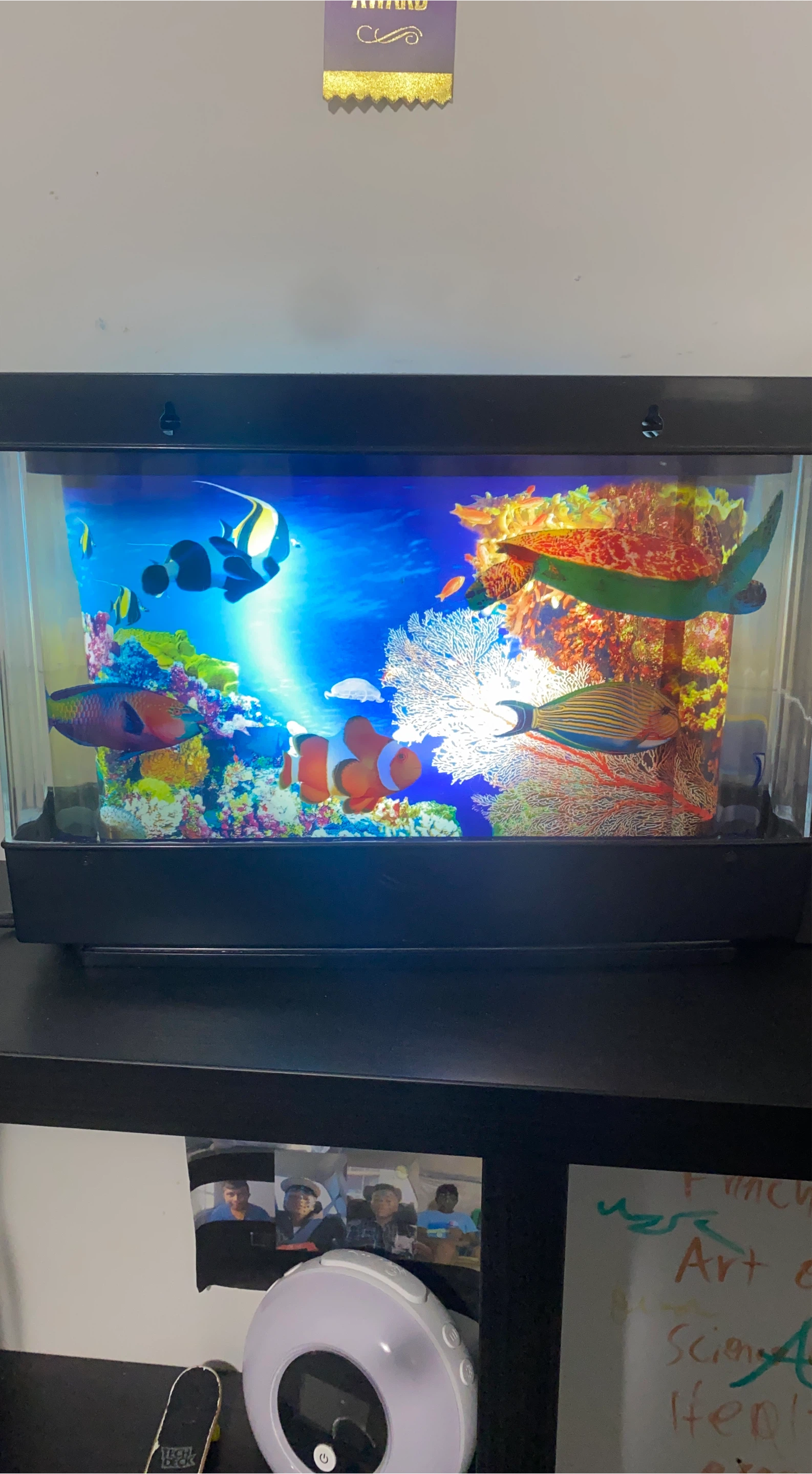 Aquarium with decorative fish and turtle