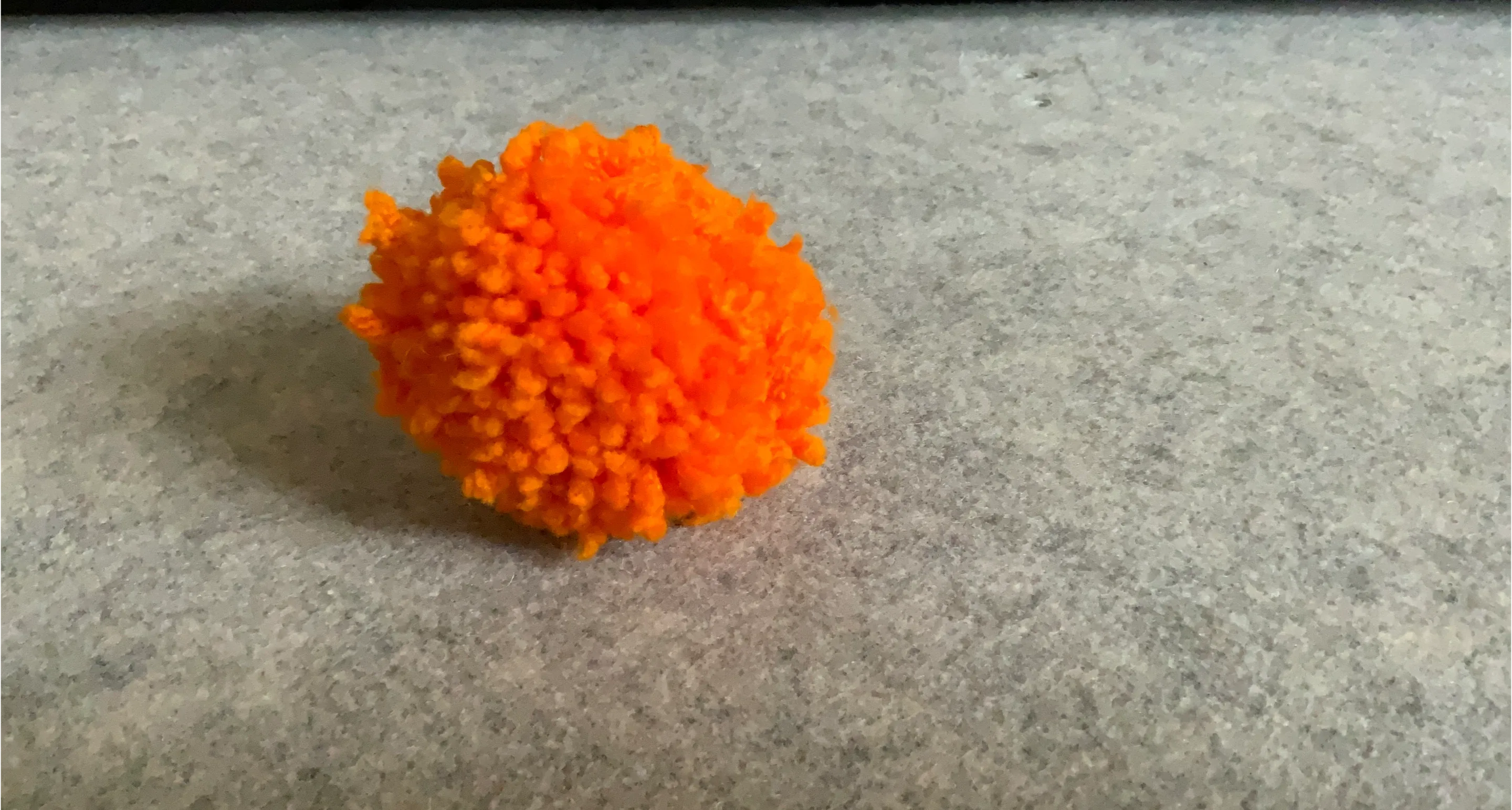 Orange Pom Pom
