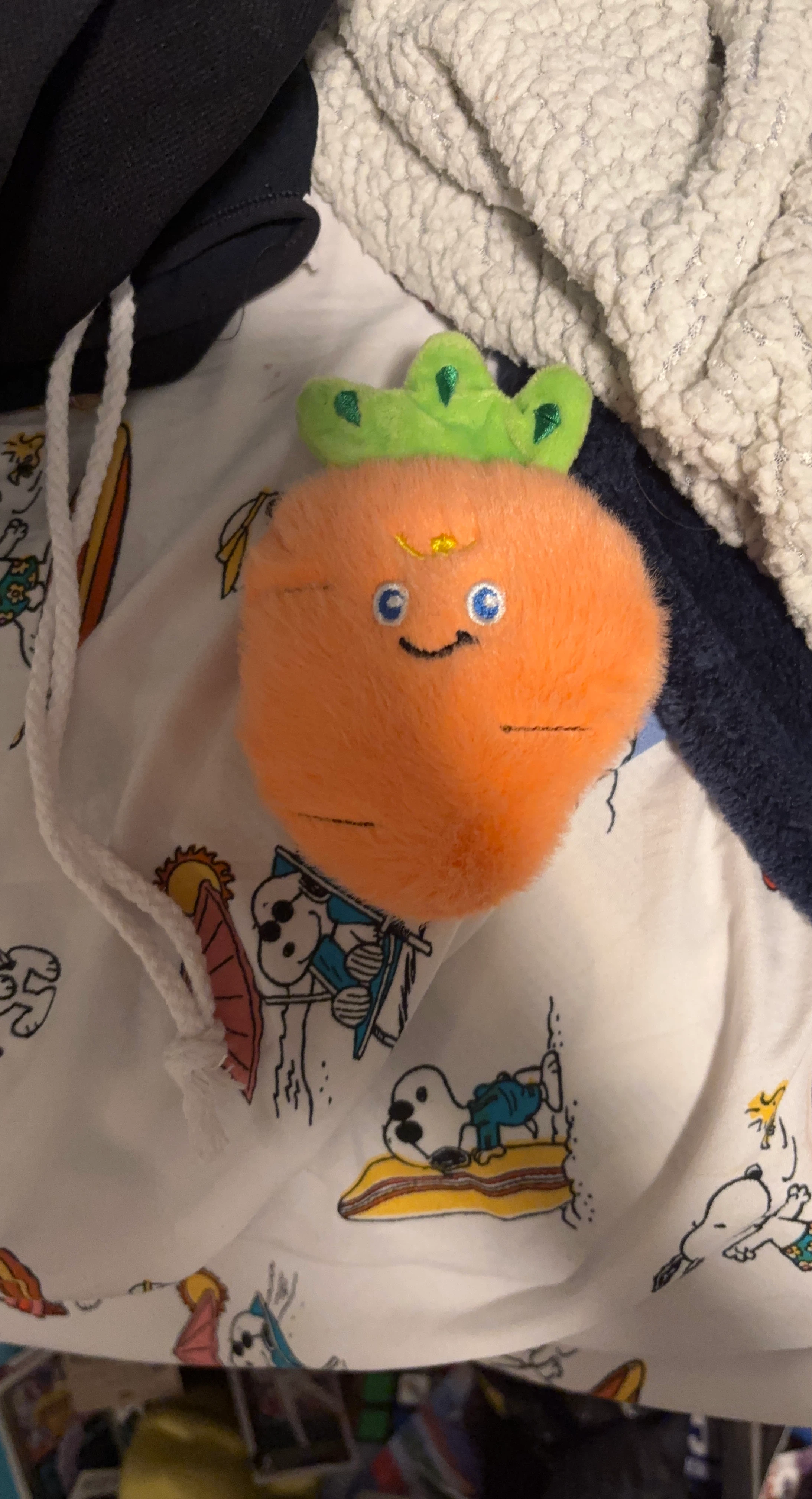 Small Plush Carrot Toy