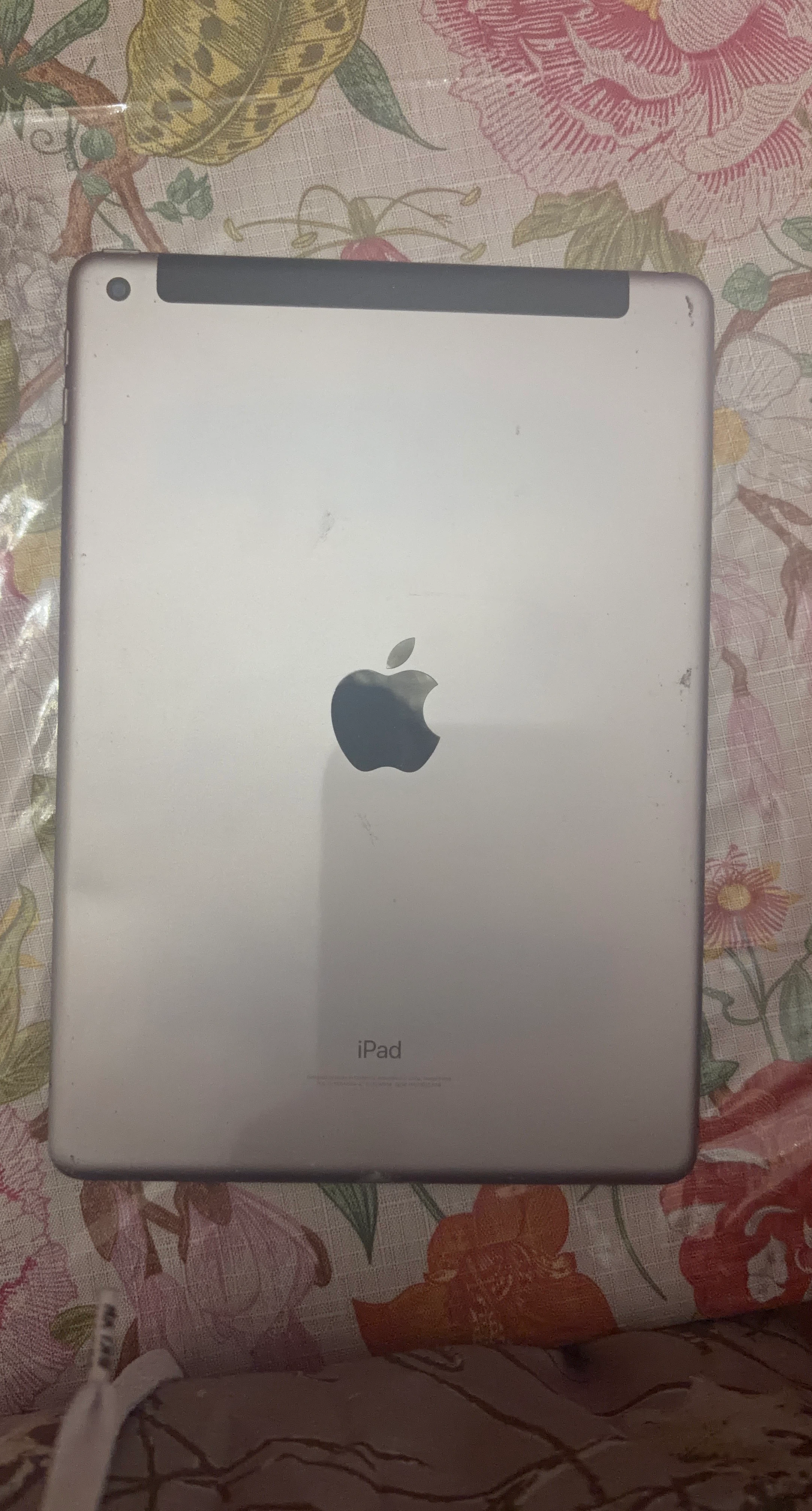 Apple iPad Silver