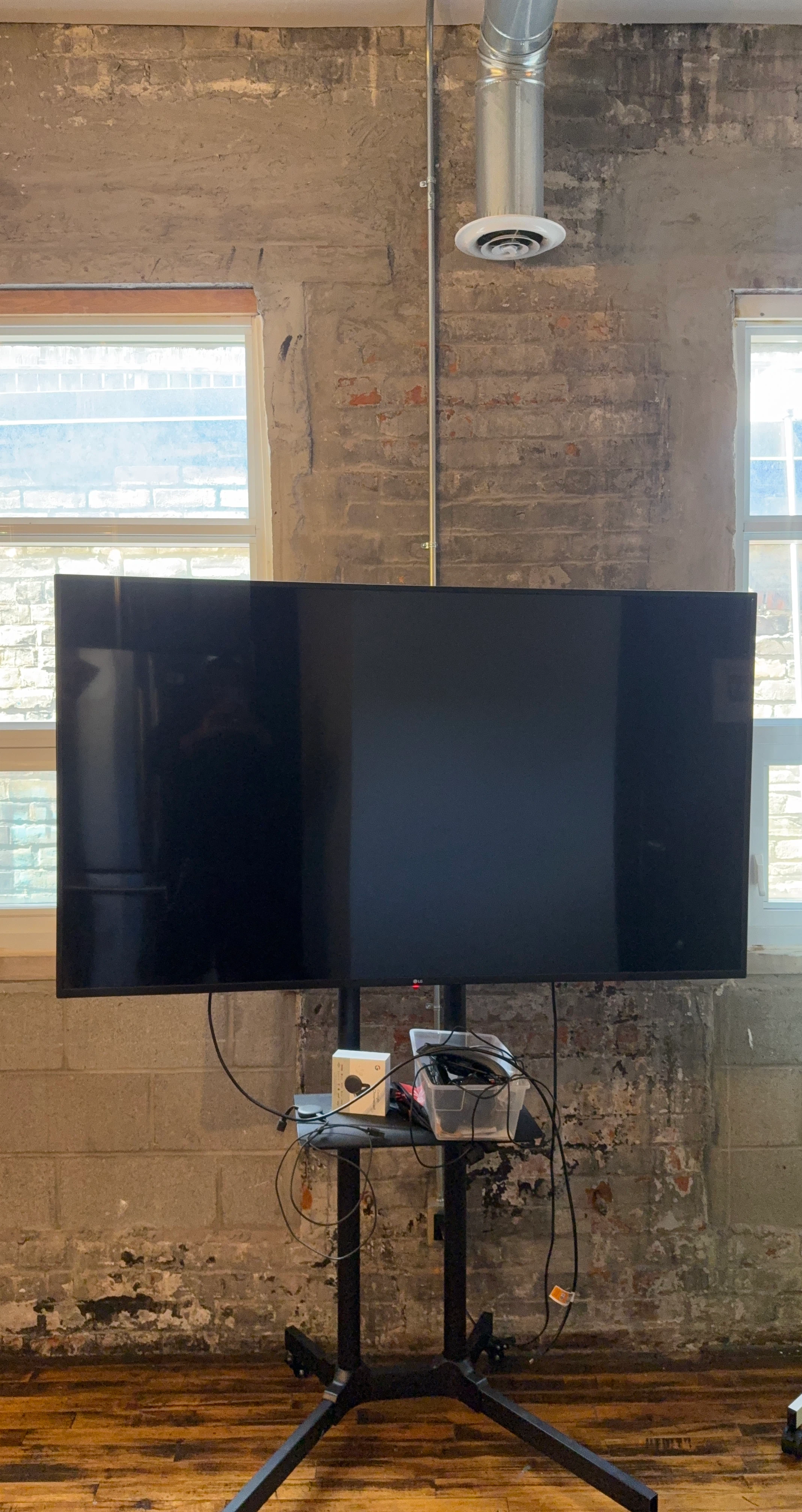 LG TV on Rolling Stand