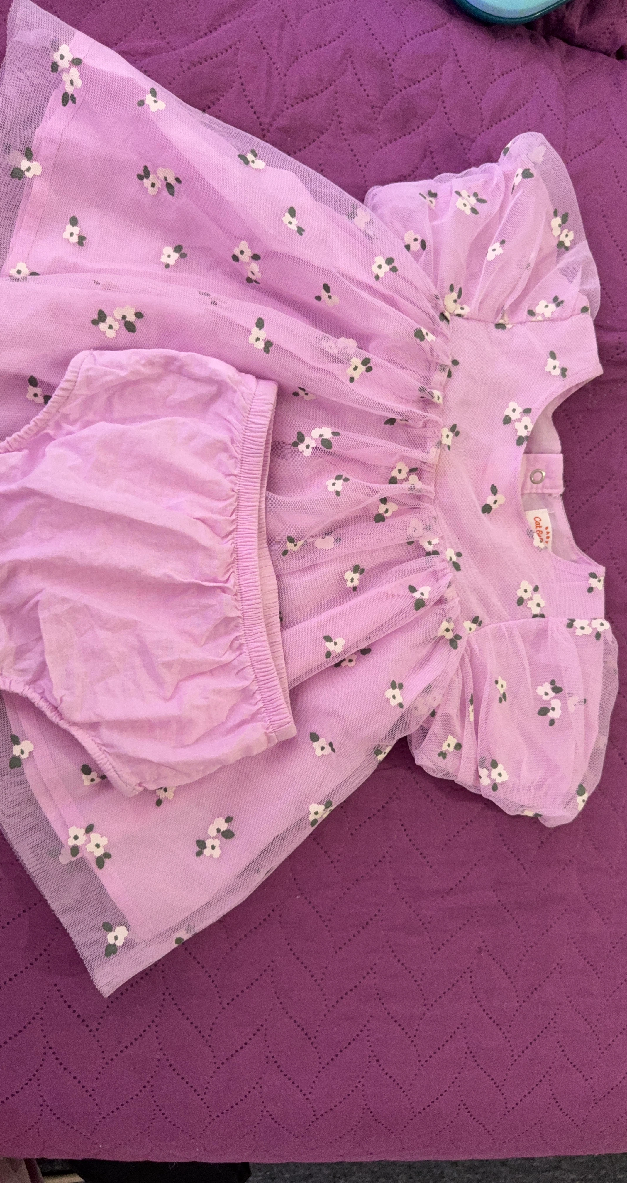 Cat & Jack Baby Girl Dress and Bloomer Set